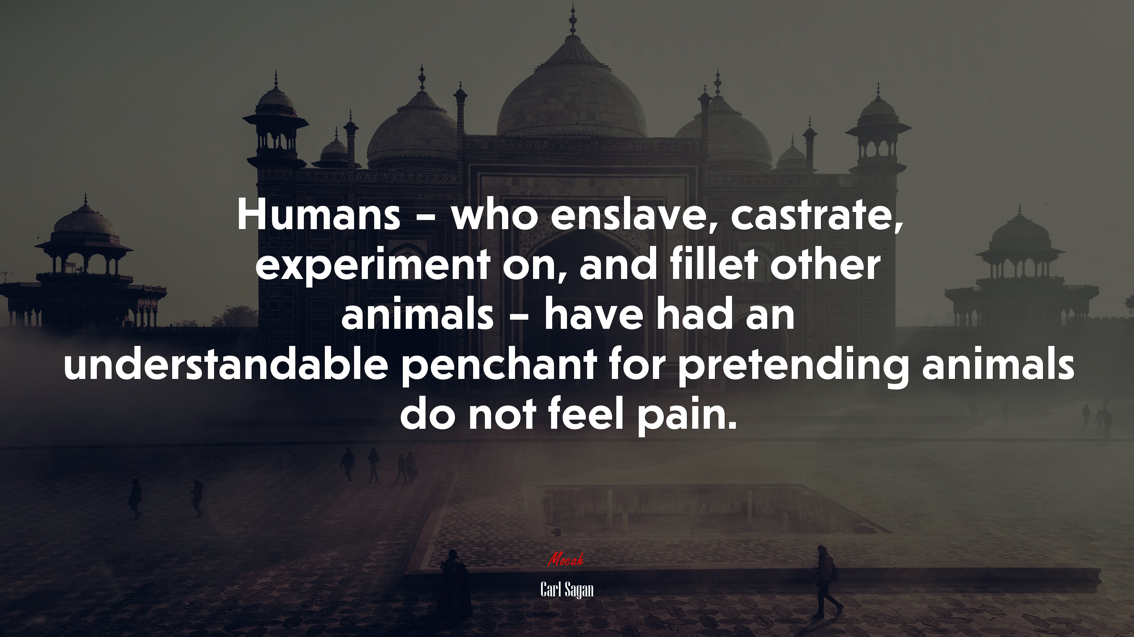 Humans – who enslave, castrate, experiment on, and fillet other animals – have had an understandable penchant for pretending animals do not feel pain. | Carl Sagan quote HD Wallpaper