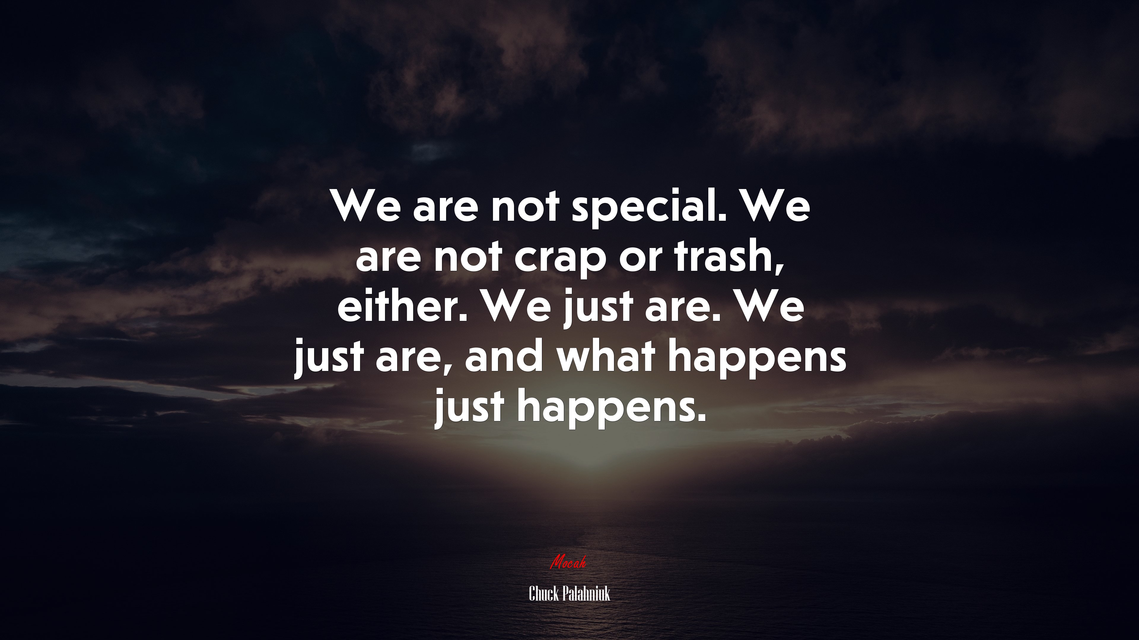 We are not special. We are not crap or trash, either. We just are. We just are, and what happens just happens. | Chuck Palahniuk quote HD Wallpaper