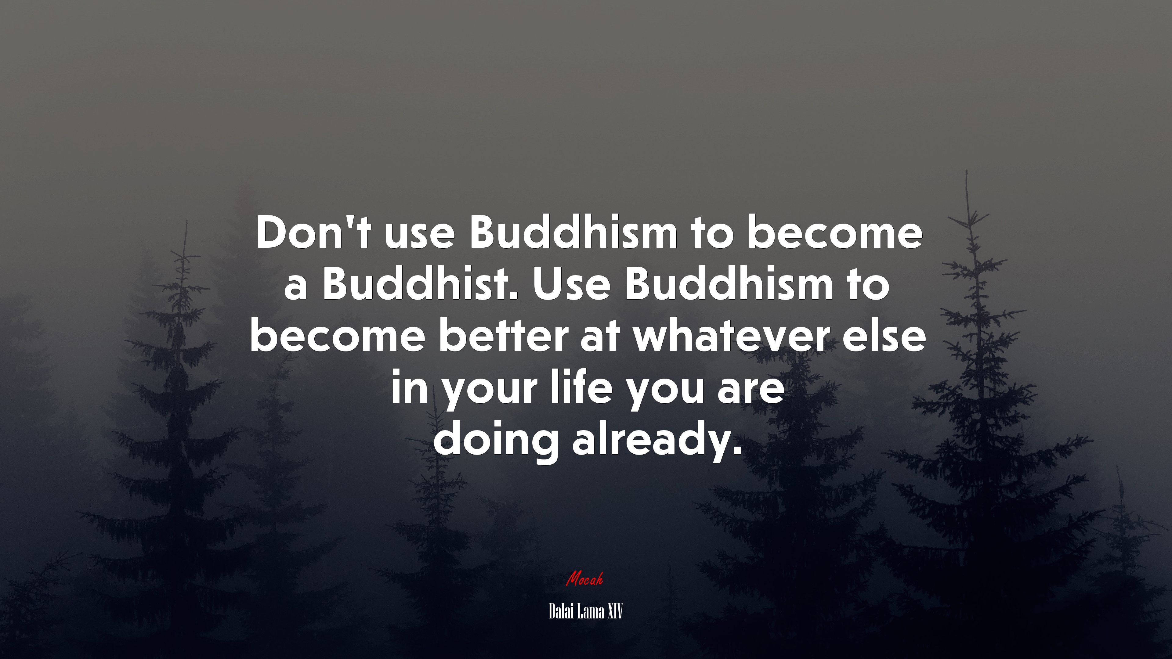 Don’t use Buddhism to become a Buddhist. Use Buddhism to become better at whatever else in your life you are doing already. | Dalai Lama XIV quote HD Wallpaper