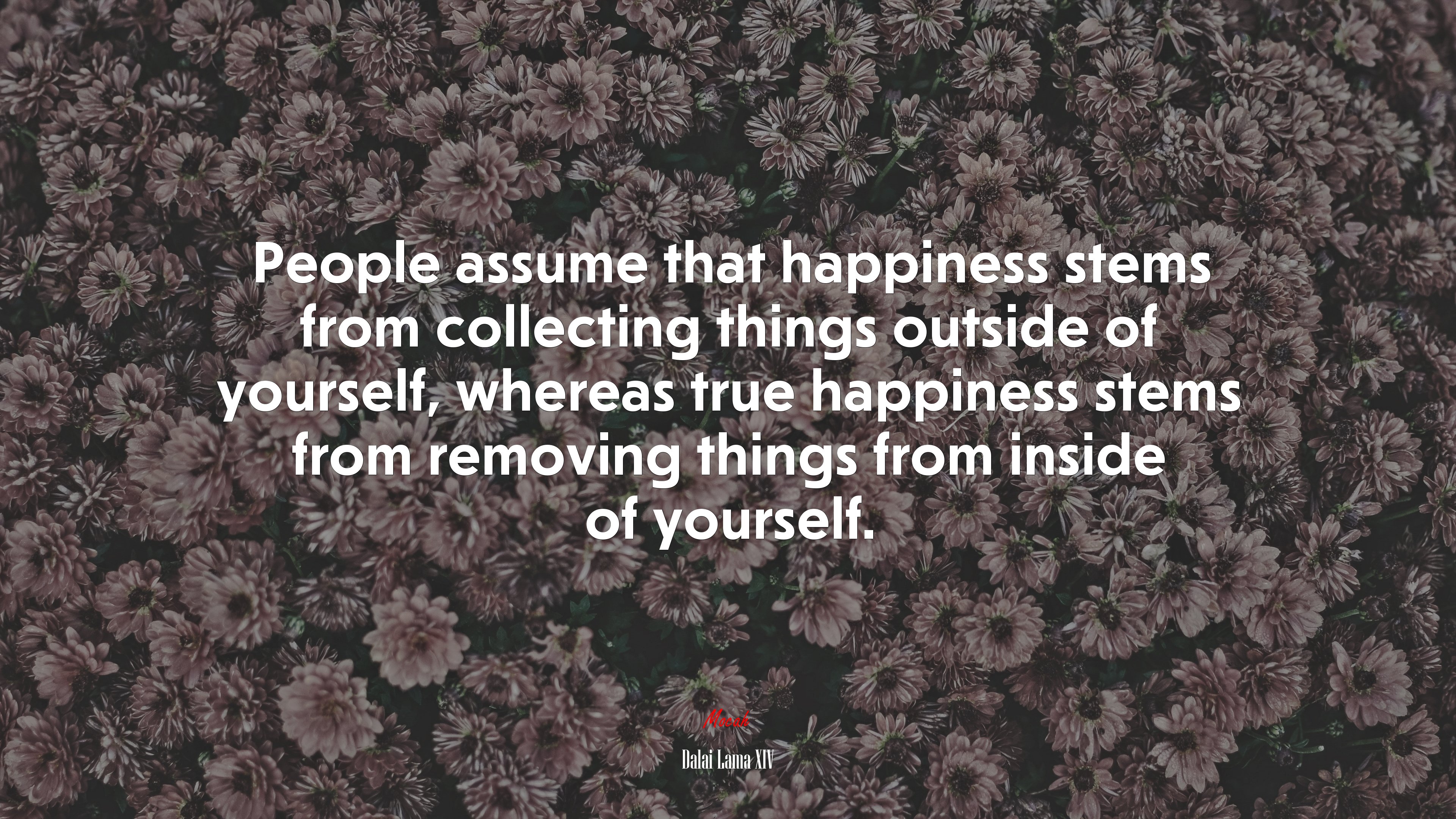 People assume that happiness stems from collecting things outside of yourself, whereas true happiness stems from removing things from inside of yourself. | Dalai Lama XIV quote HD Wallpaper