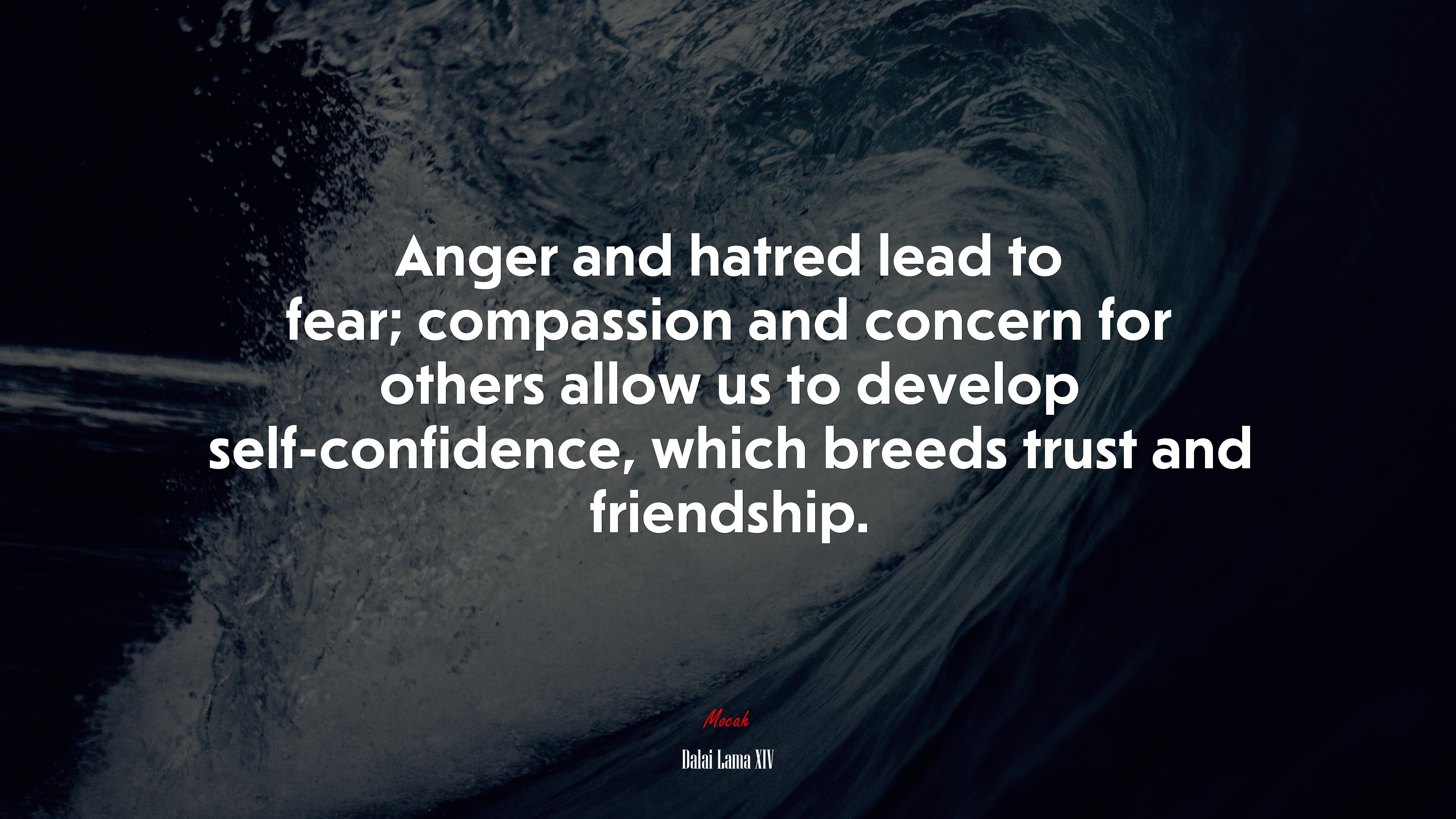 Anger and hatred lead to fear; compassion and concern for others allow us to develop self-confidence, which breeds trust and friendship. | Dalai Lama XIV quote HD Wallpaper