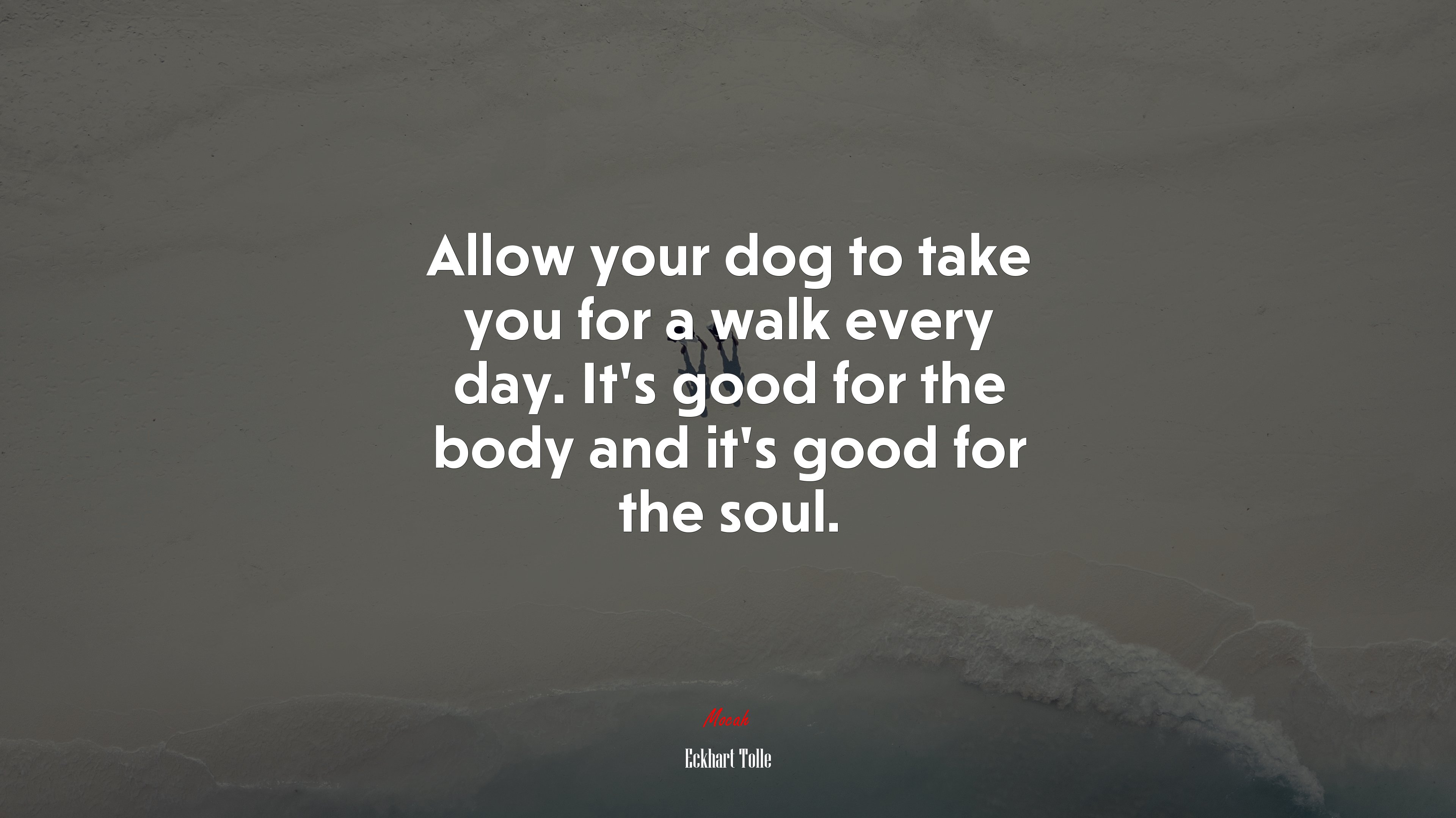 Allow your dog to take you for a walk every day. It’s good for the body and it’s good for the soul. | Eckhart Tolle quote HD Wallpaper