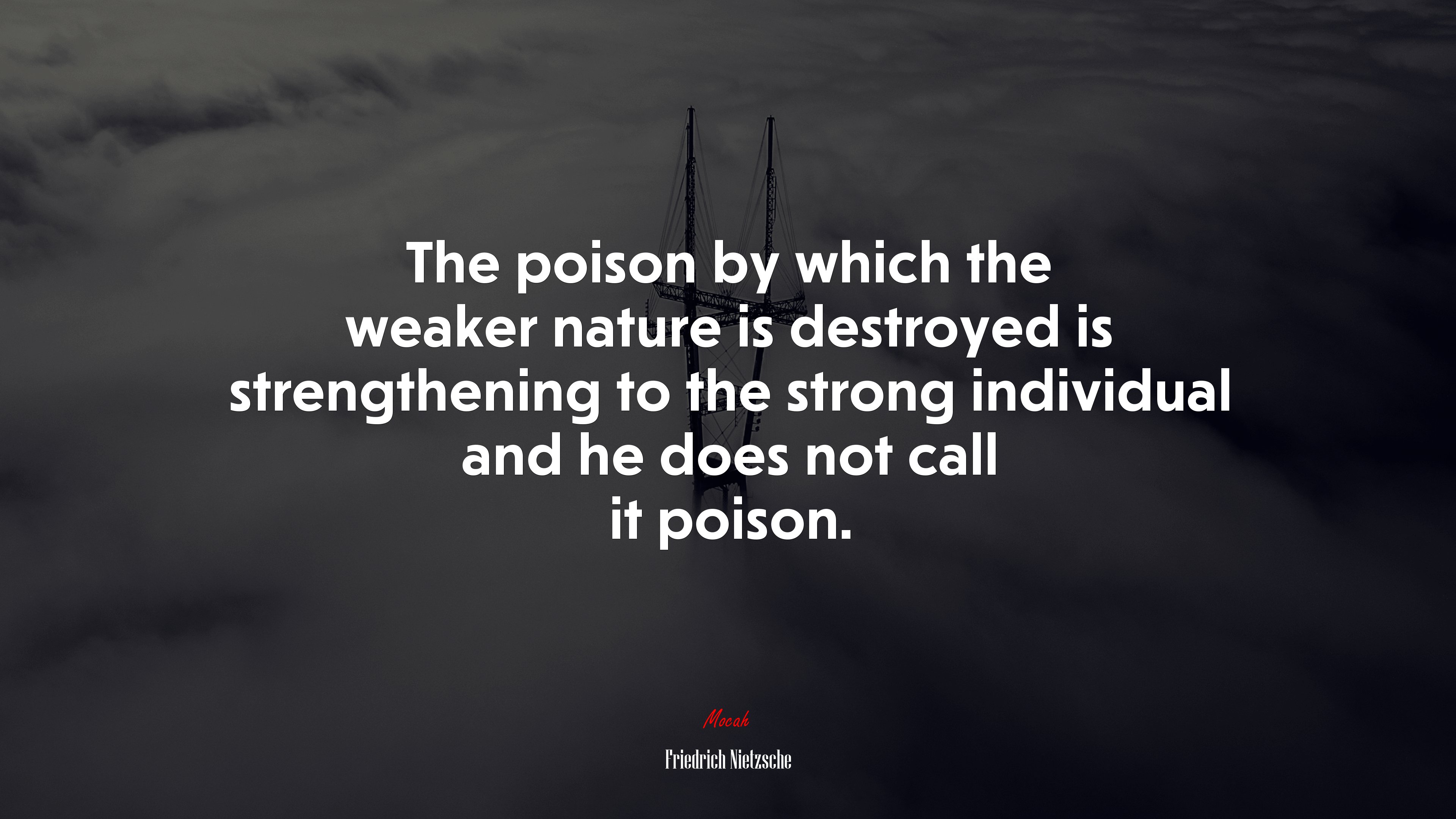 The poison by which the weaker nature is destroyed is strengthening to the strong individual and he does not call it poison. | Friedrich Nietzsche quote HD Wallpaper