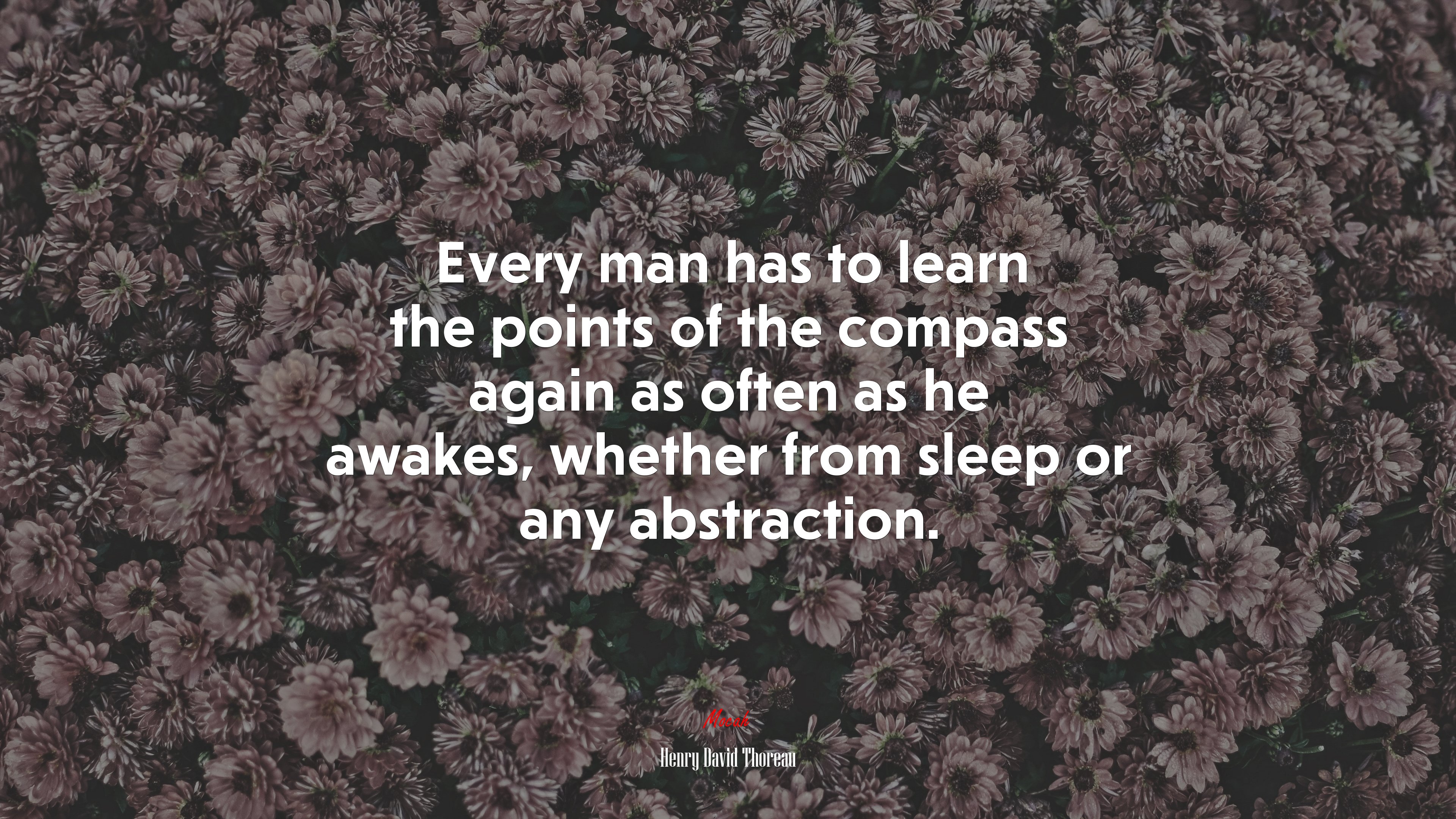 Every man has to learn the points of the compass again as often as he awakes, whether from sleep or any abstraction. | Henry David Thoreau quote HD Wallpaper