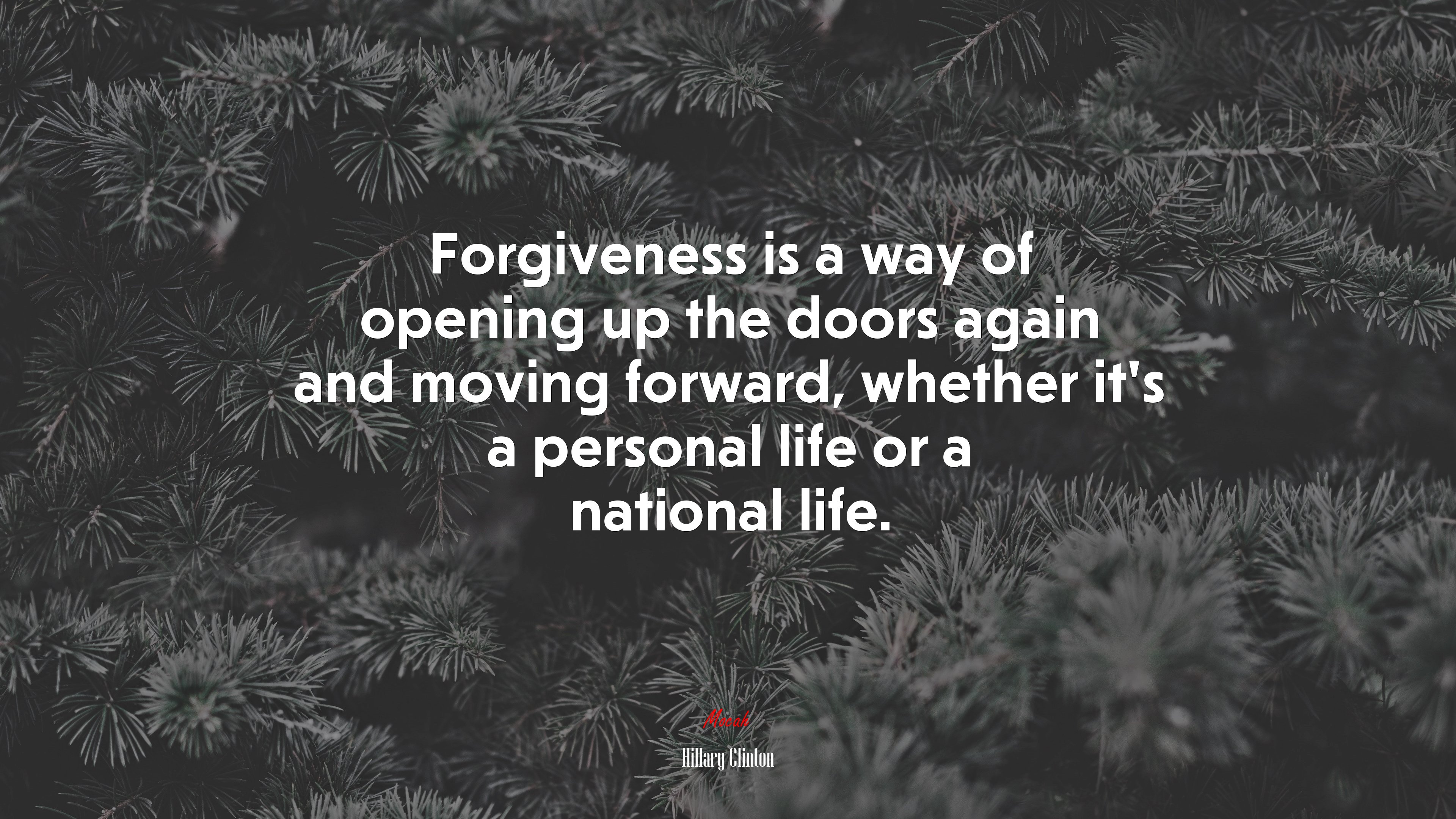 Forgiveness is a way of opening up the doors again and moving forward, whether it’s a personal life or a national life. | Hillary Clinton quote HD Wallpaper