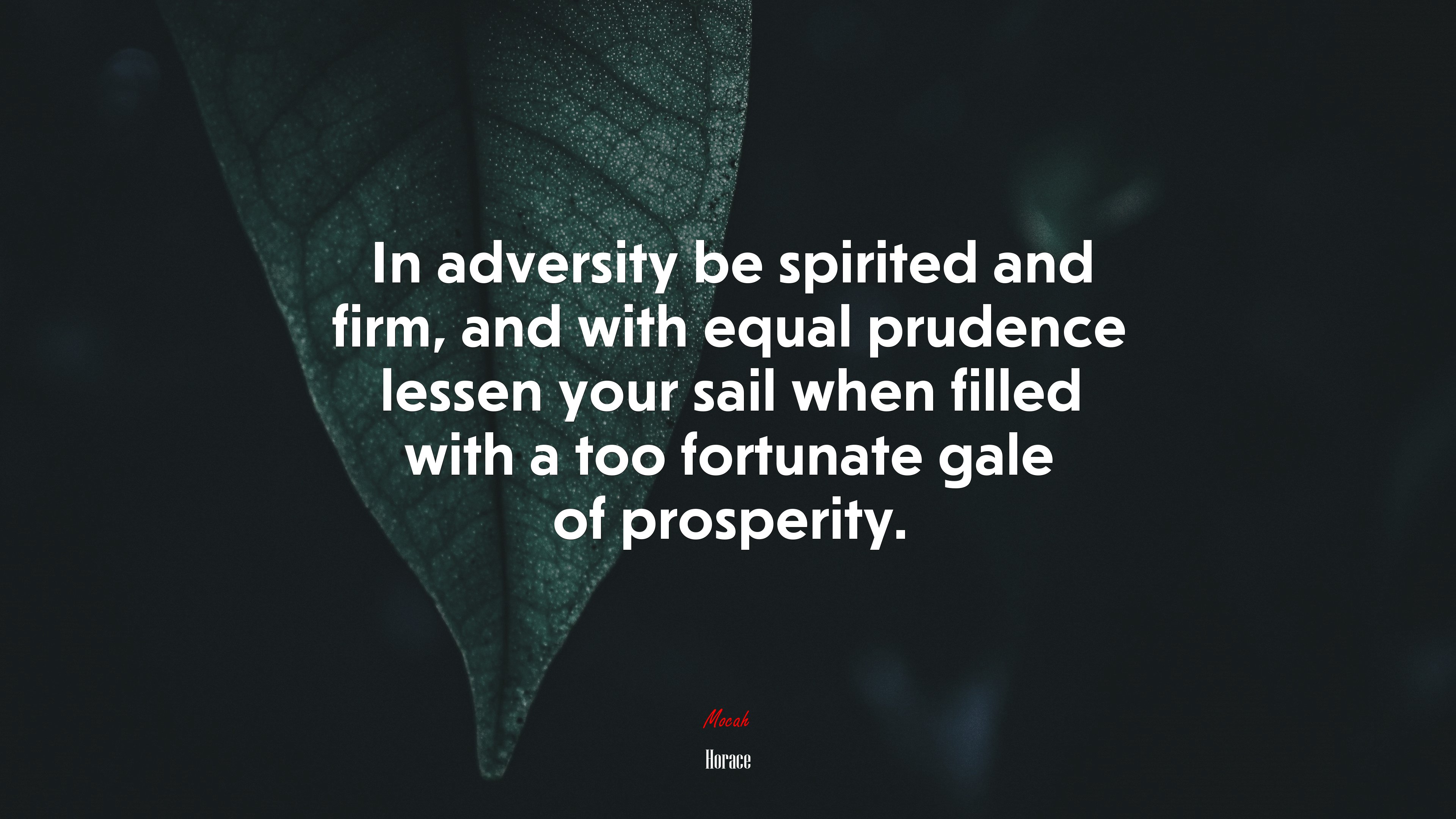 In adversity be spirited and firm, and with equal prudence lessen your sail when filled with a too fortunate gale of prosperity. | Horace quote HD Wallpaper