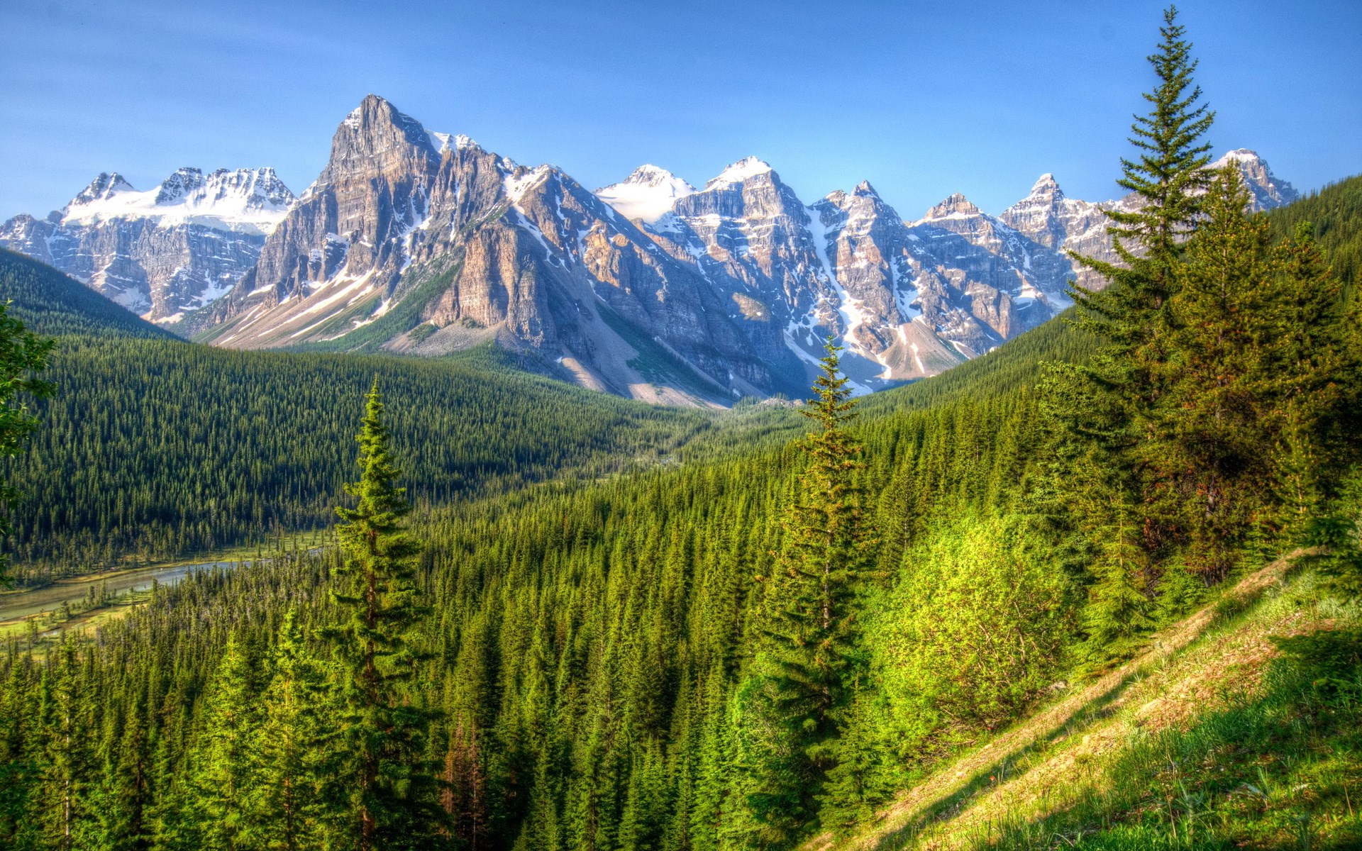 Snow-capped mountains and evergreen forest under a blue sky HD Wallpaper