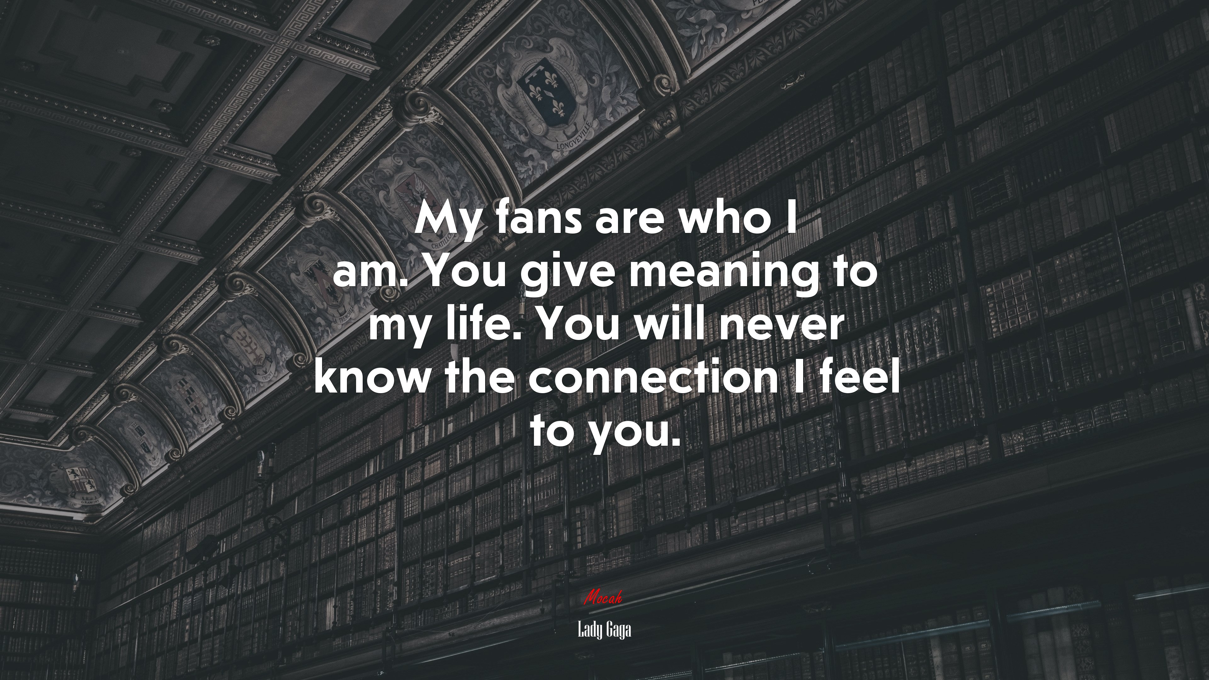 My fans are who I am. You give meaning to my life. You will never know the connection I feel to you. | Lady Gaga quote HD Wallpaper