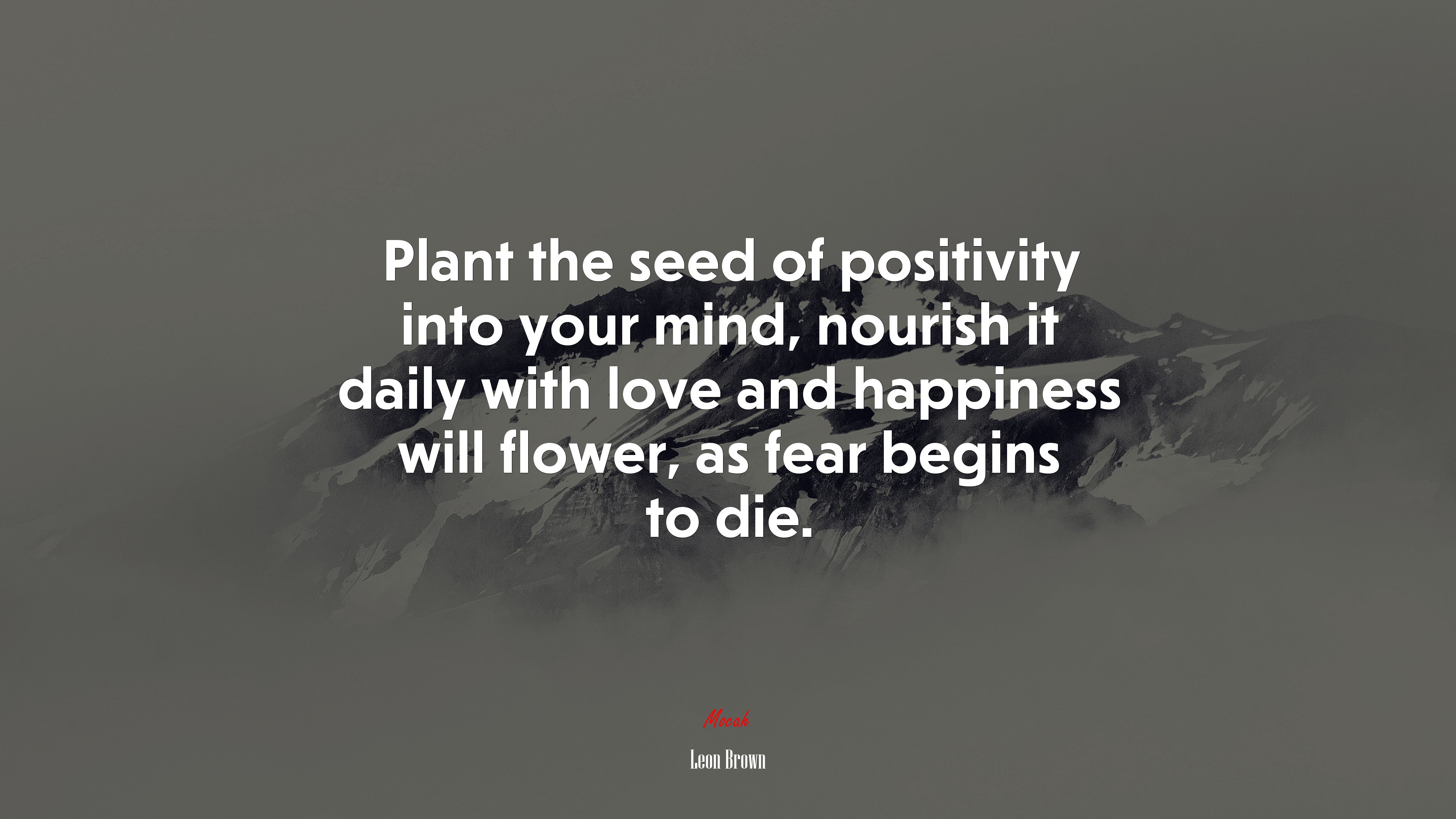 Plant the seed of positivity into your mind, nourish it daily with love and happiness will flower, as fear begins to die. | Leon Brown quote HD Wallpaper