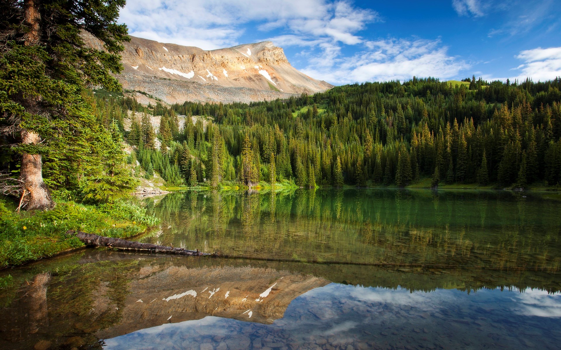Mountain lake with evergreen forest and reflection HD Wallpaper