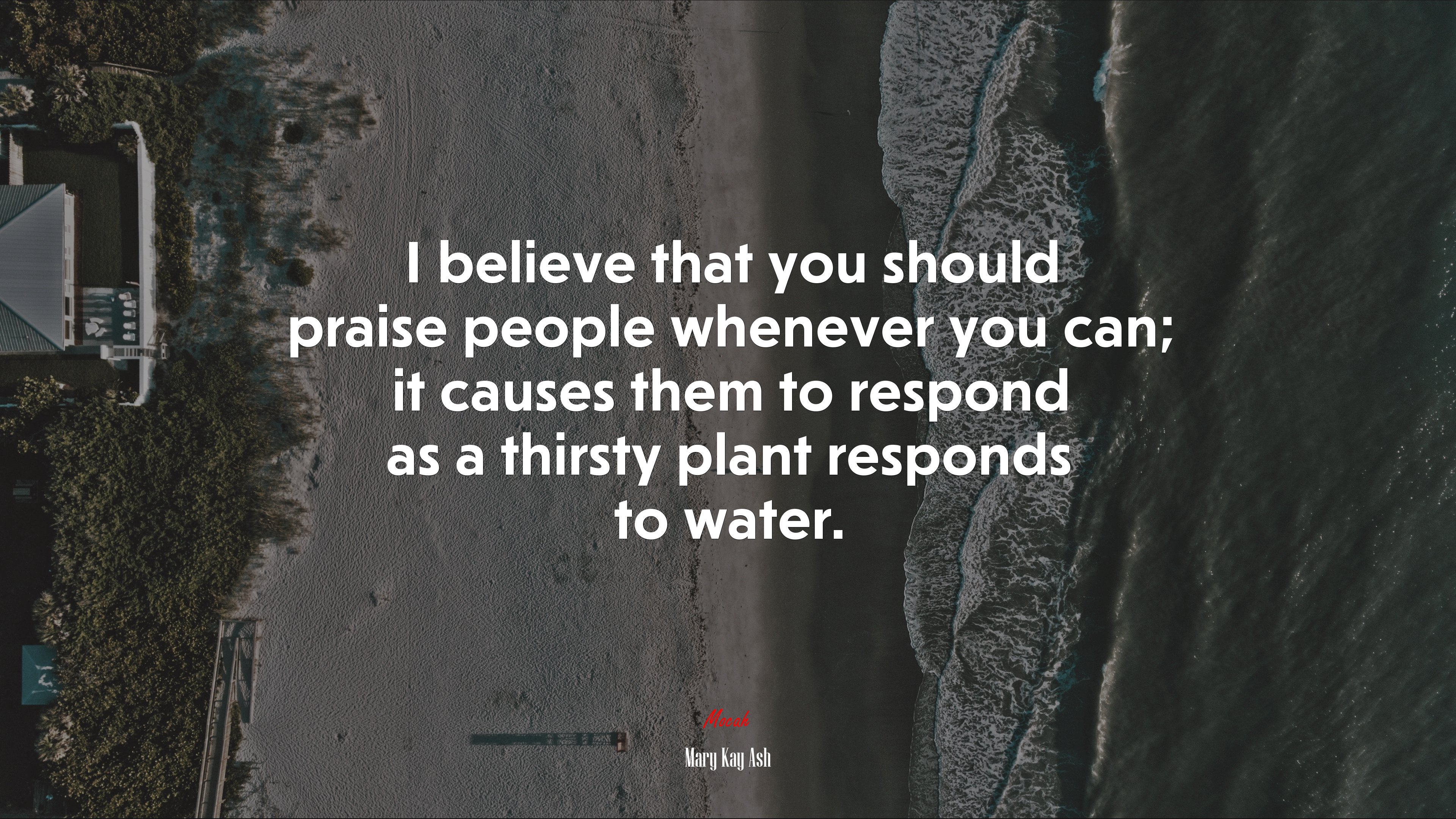 I believe that you should praise people whenever you can; it causes them to respond as a thirsty plant responds to water. | Mary Kay Ash quote HD Wallpaper