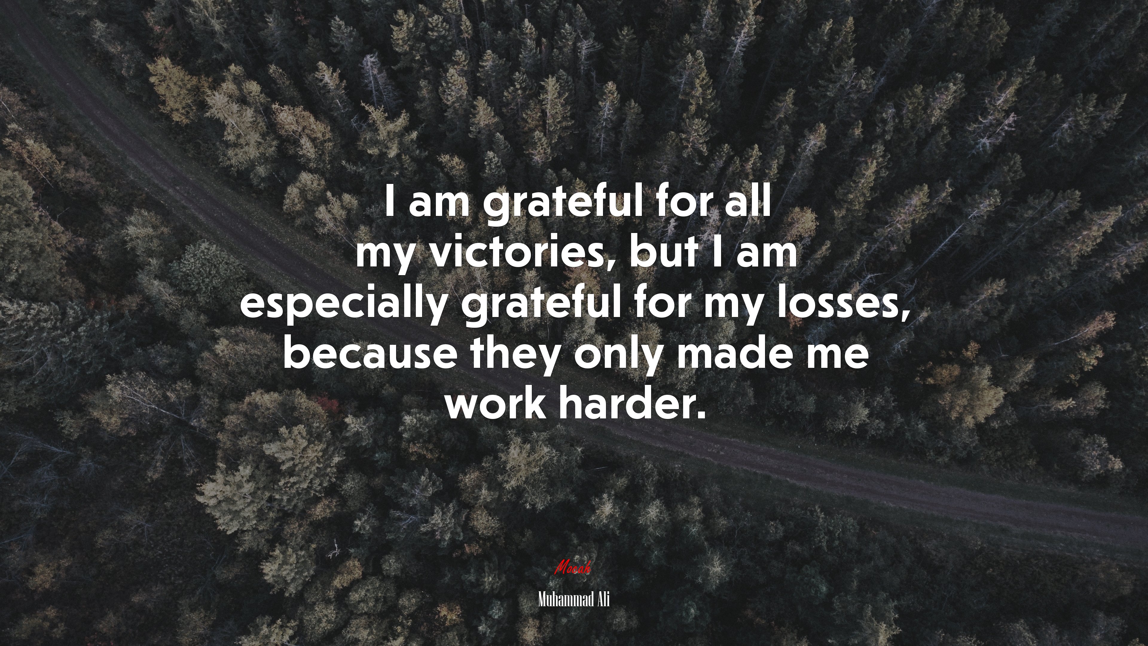 I am grateful for all my victories, but I am especially grateful for my losses, because they only made me work harder. | Muhammad Ali quote HD Wallpaper