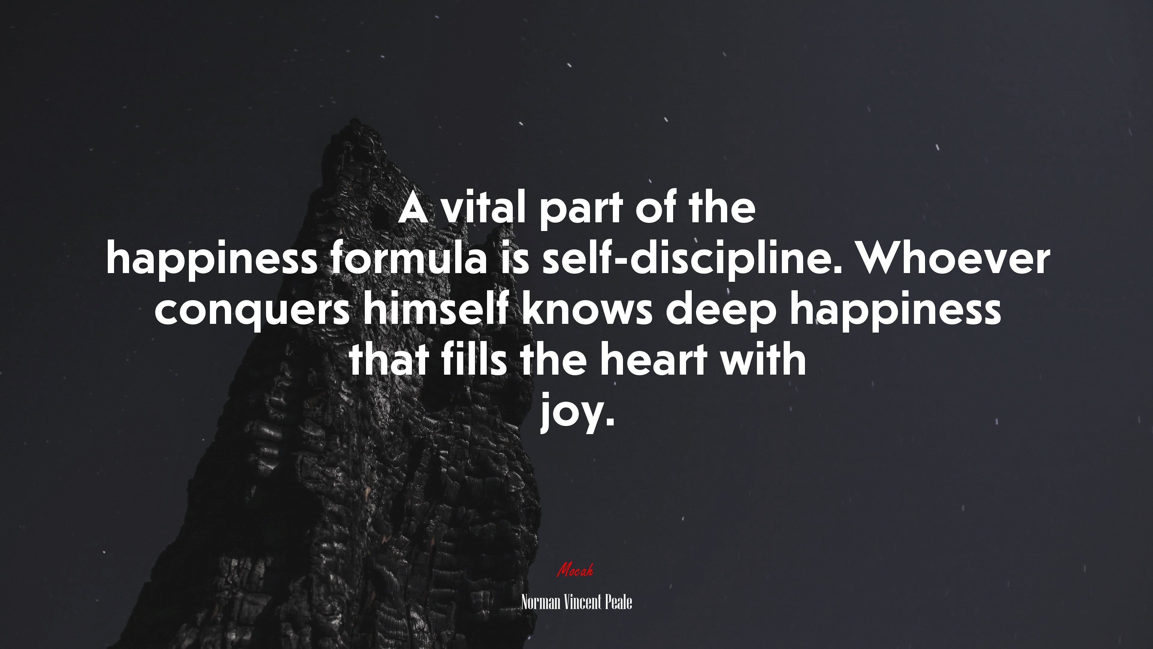 A vital part of the happiness formula is self-discipline. Whoever conquers himself knows deep happiness that fills the heart with joy. | Norman Vincent Peale quote HD Wallpaper