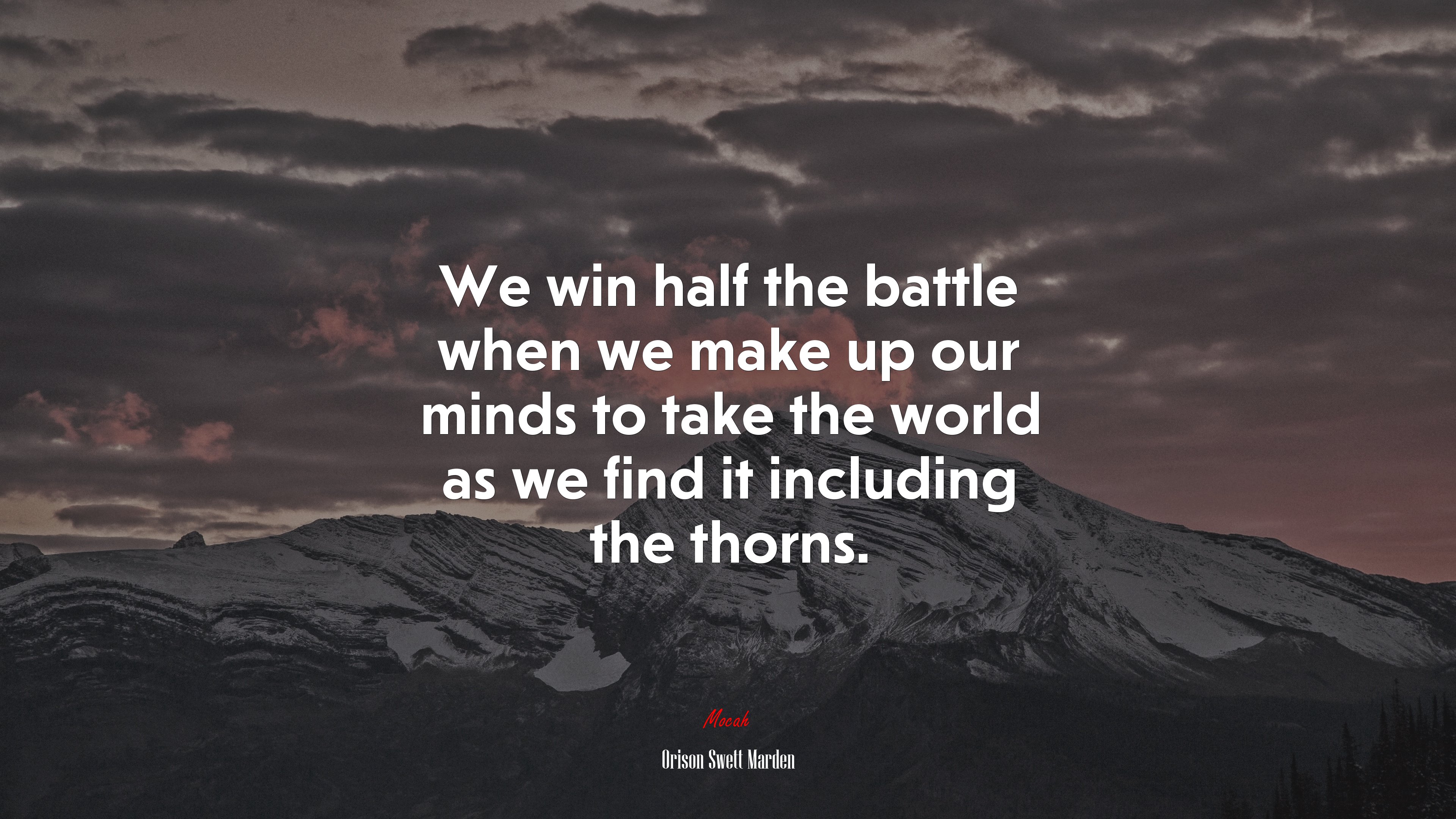 We win half the battle when we make up our minds to take the world as we find it including the thorns. | Orison Swett Marden quote HD Wallpaper