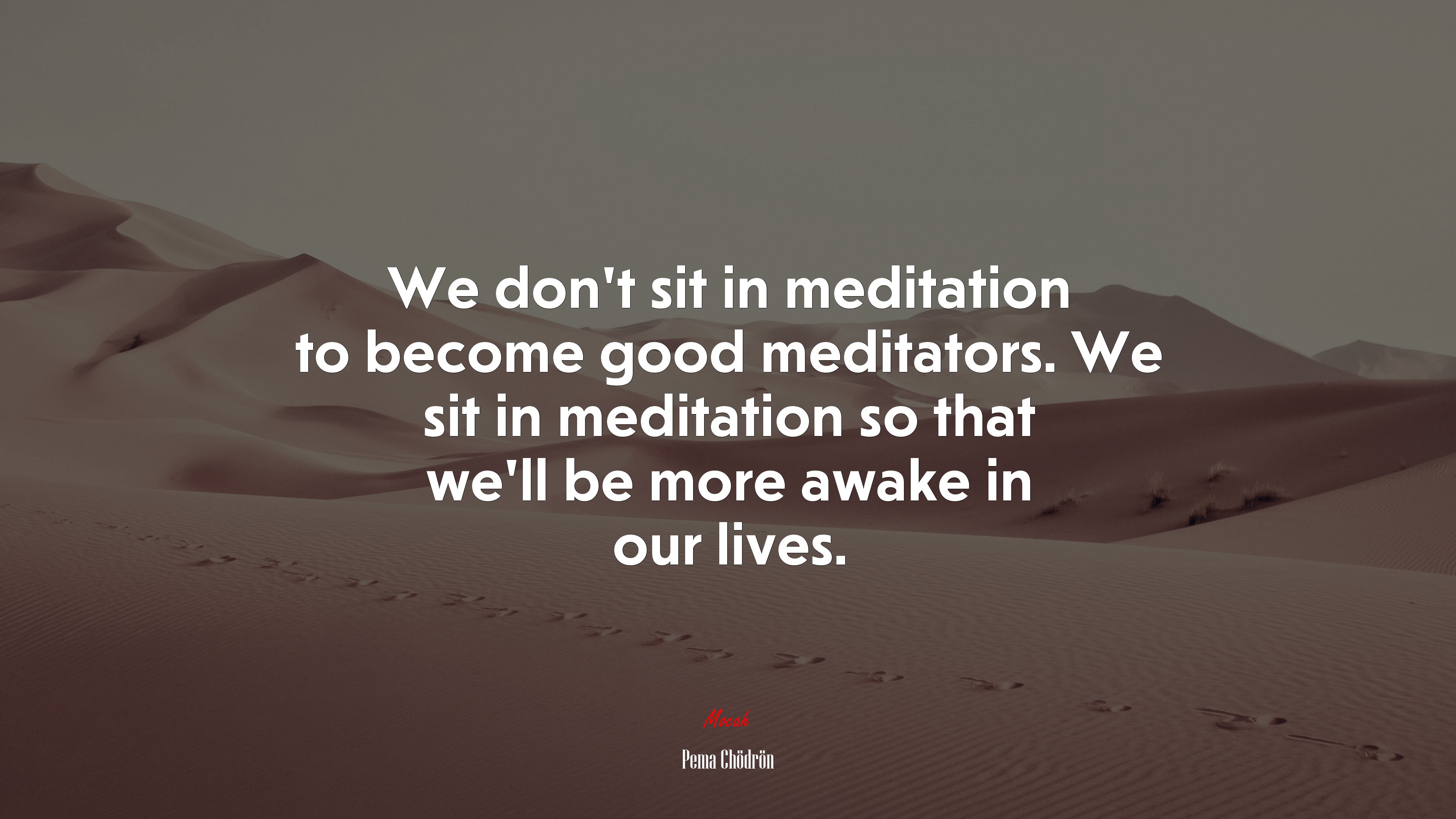 We don’t sit in meditation to become good meditators. We sit in meditation so that we’ll be more awake in our lives. | Pema Chödrön quote HD Wallpaper