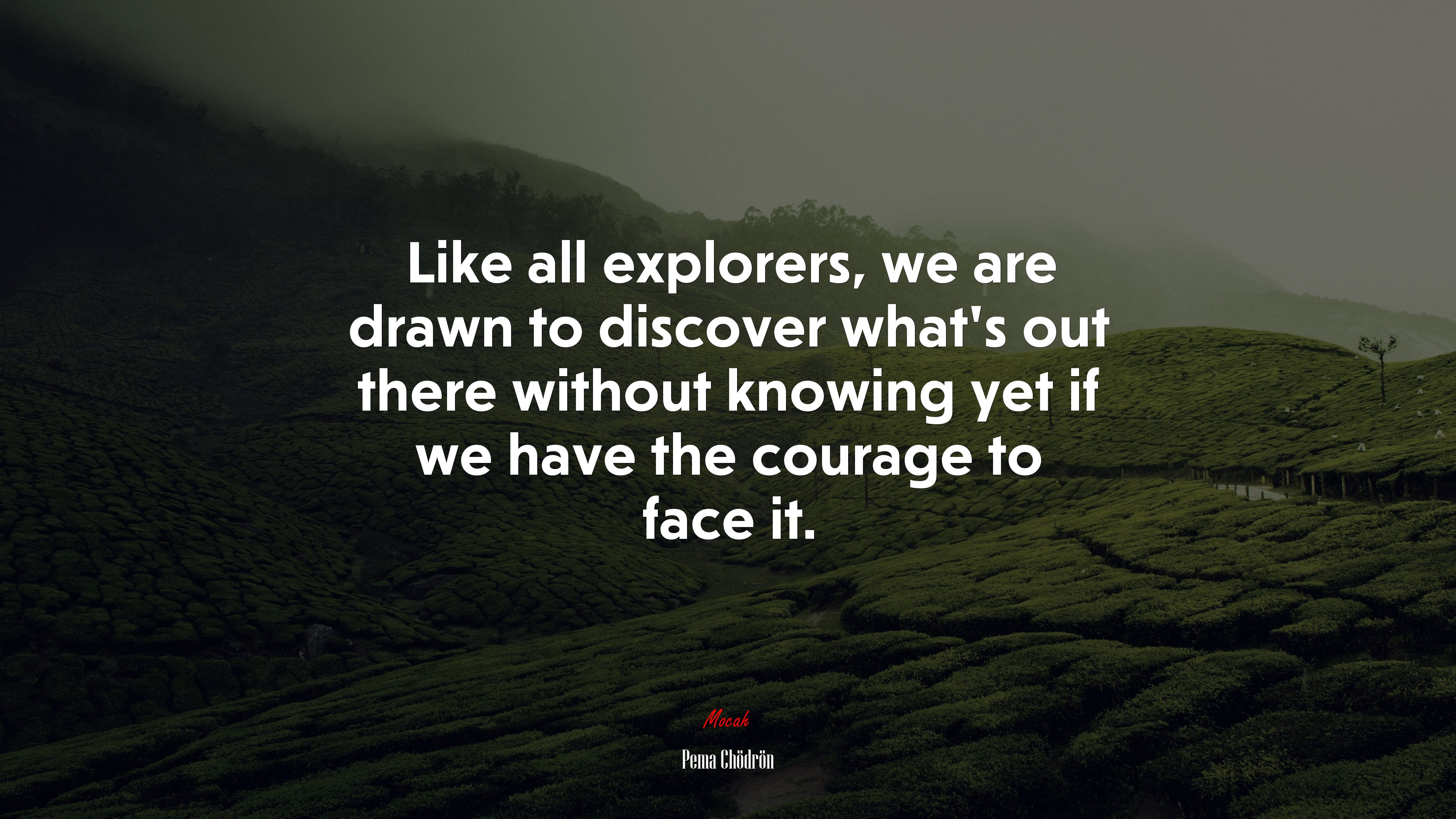Like all explorers, we are drawn to discover what’s out there without knowing yet if we have the courage to face it. | Pema Chödrön quote HD Wallpaper