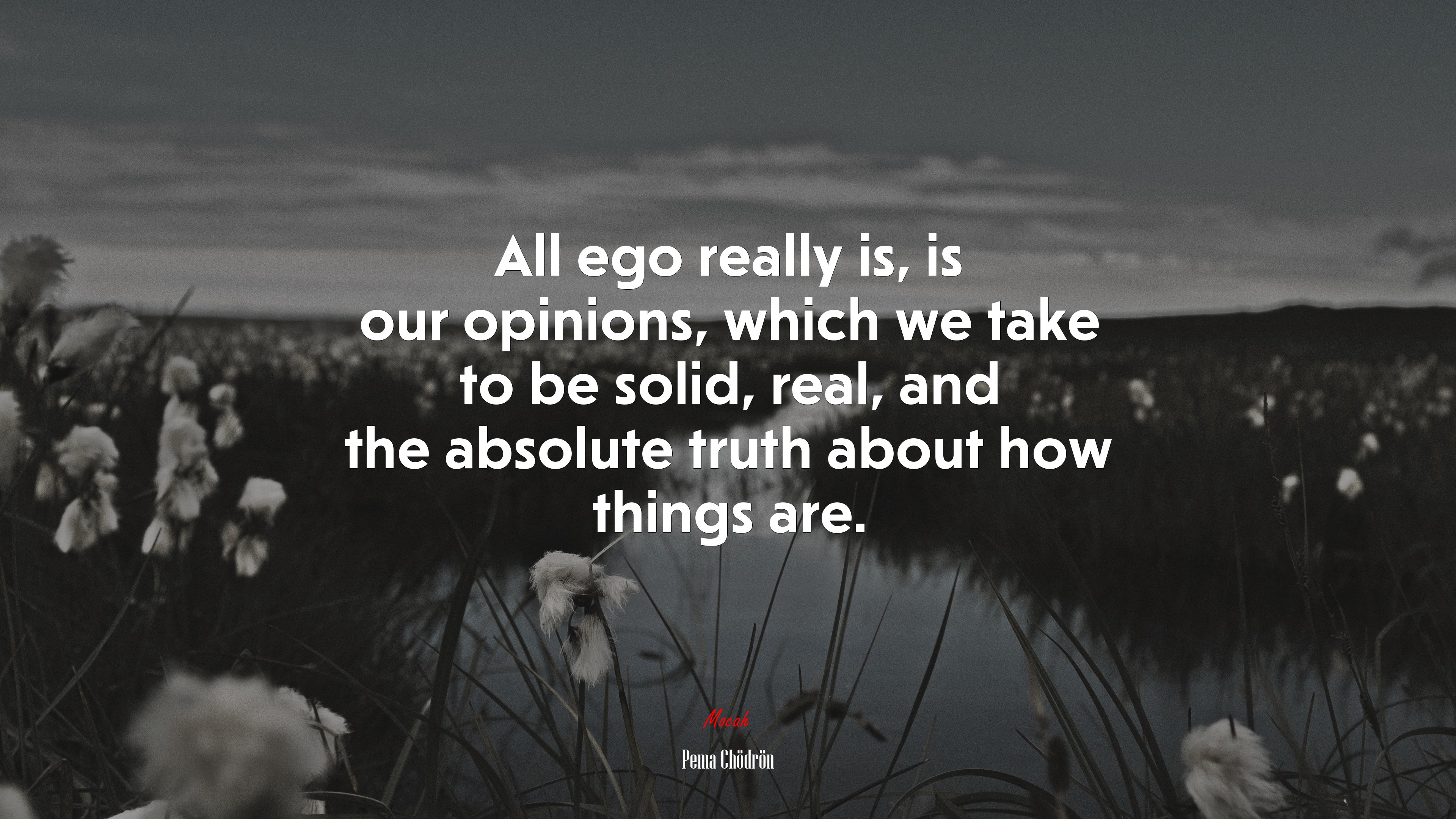 All ego really is, is our opinions, which we take to be solid, real, and the absolute truth about how things are. | Pema Chödrön quote HD Wallpaper