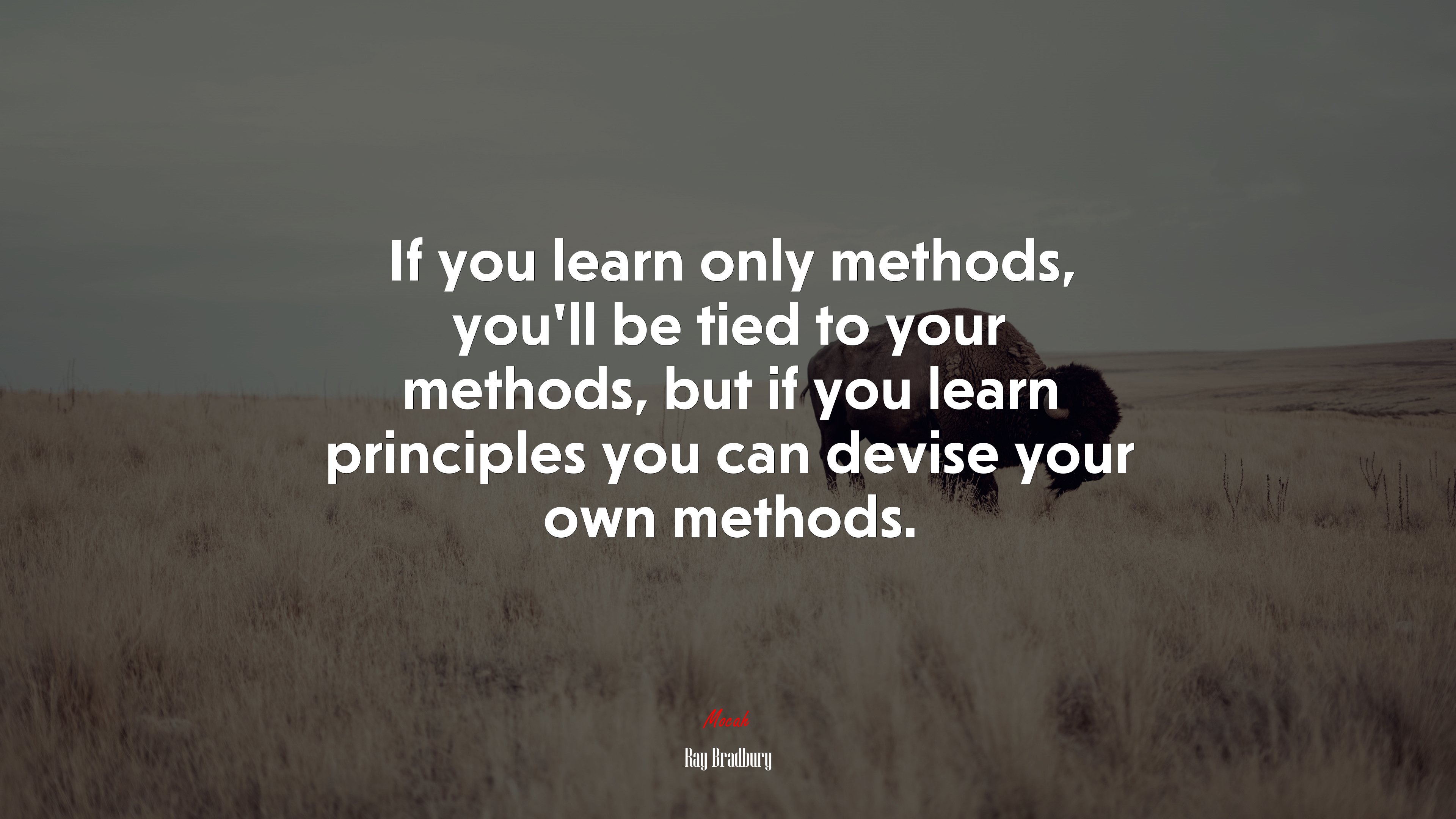 If you learn only methods, you’ll be tied to your methods, but if you learn principles you can devise your own methods. | Ray Bradbury quote HD Wallpaper
