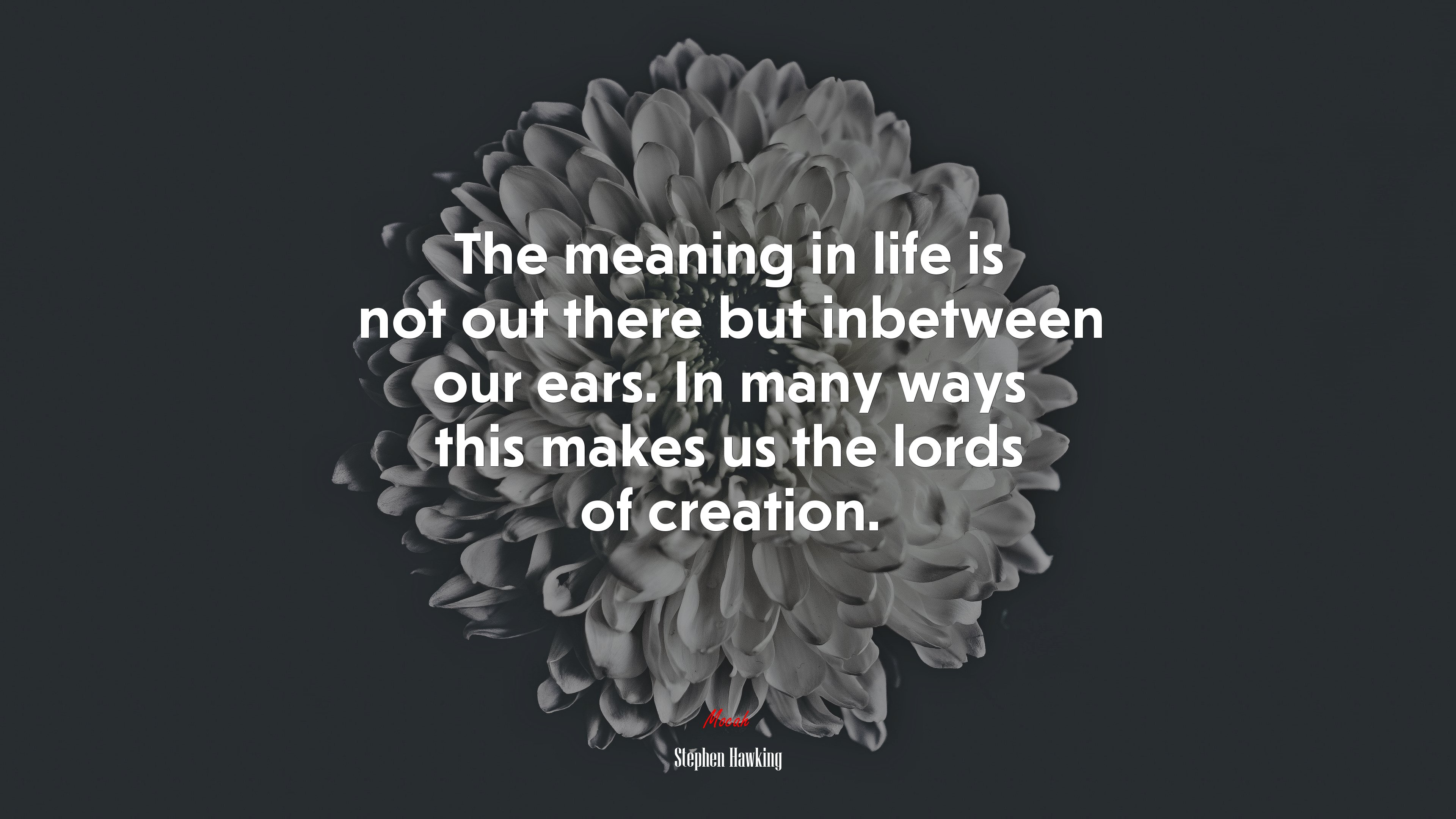 The meaning in life is not out there but inbetween our ears. In many ways this makes us the lords of creation. | Stephen Hawking quote HD Wallpaper
