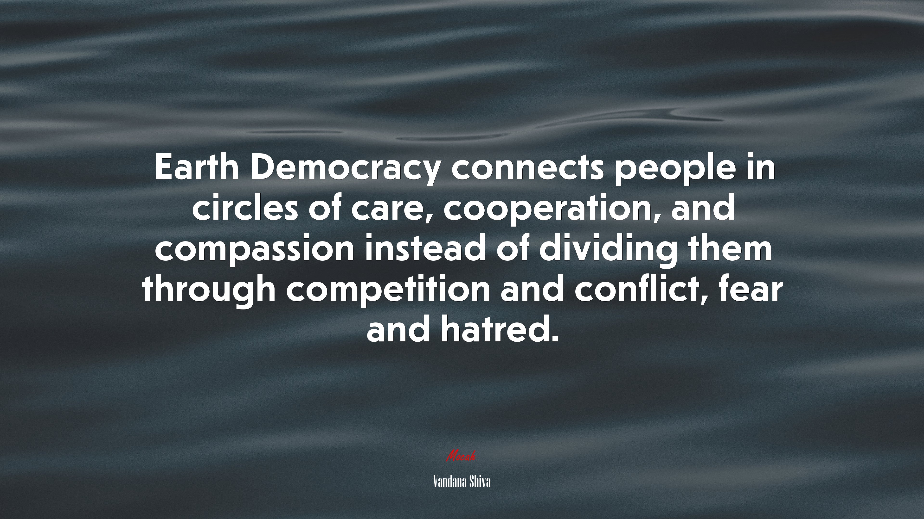 Earth Democracy connects people in circles of care, cooperation, and compassion instead of dividing them through competition and conflict, fear and hatred. | Vandana Shiva quote HD Wallpaper