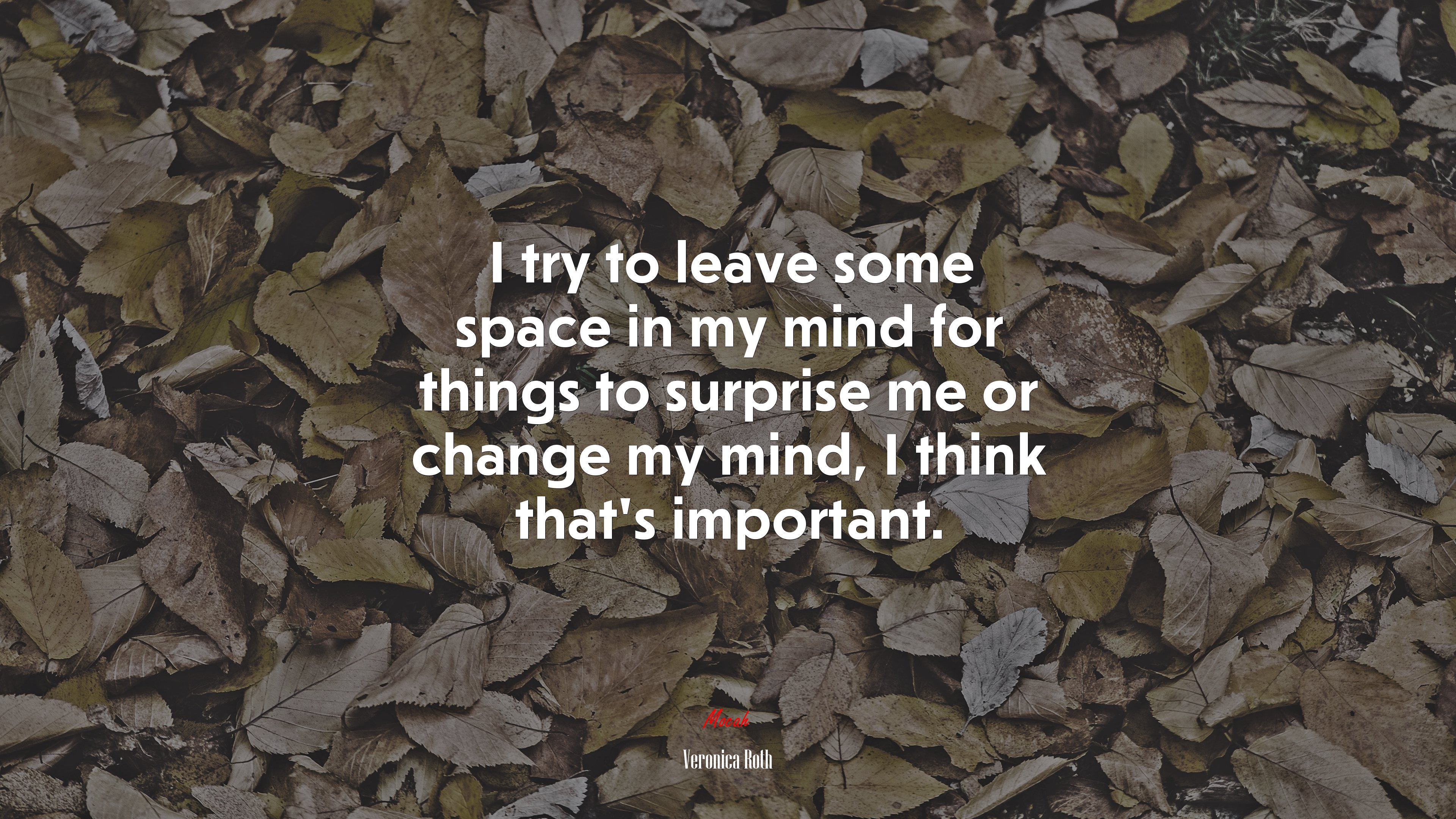 I try to leave some space in my mind for things to surprise me or change my mind, I think that’s important. | Veronica Roth quote HD Wallpaper