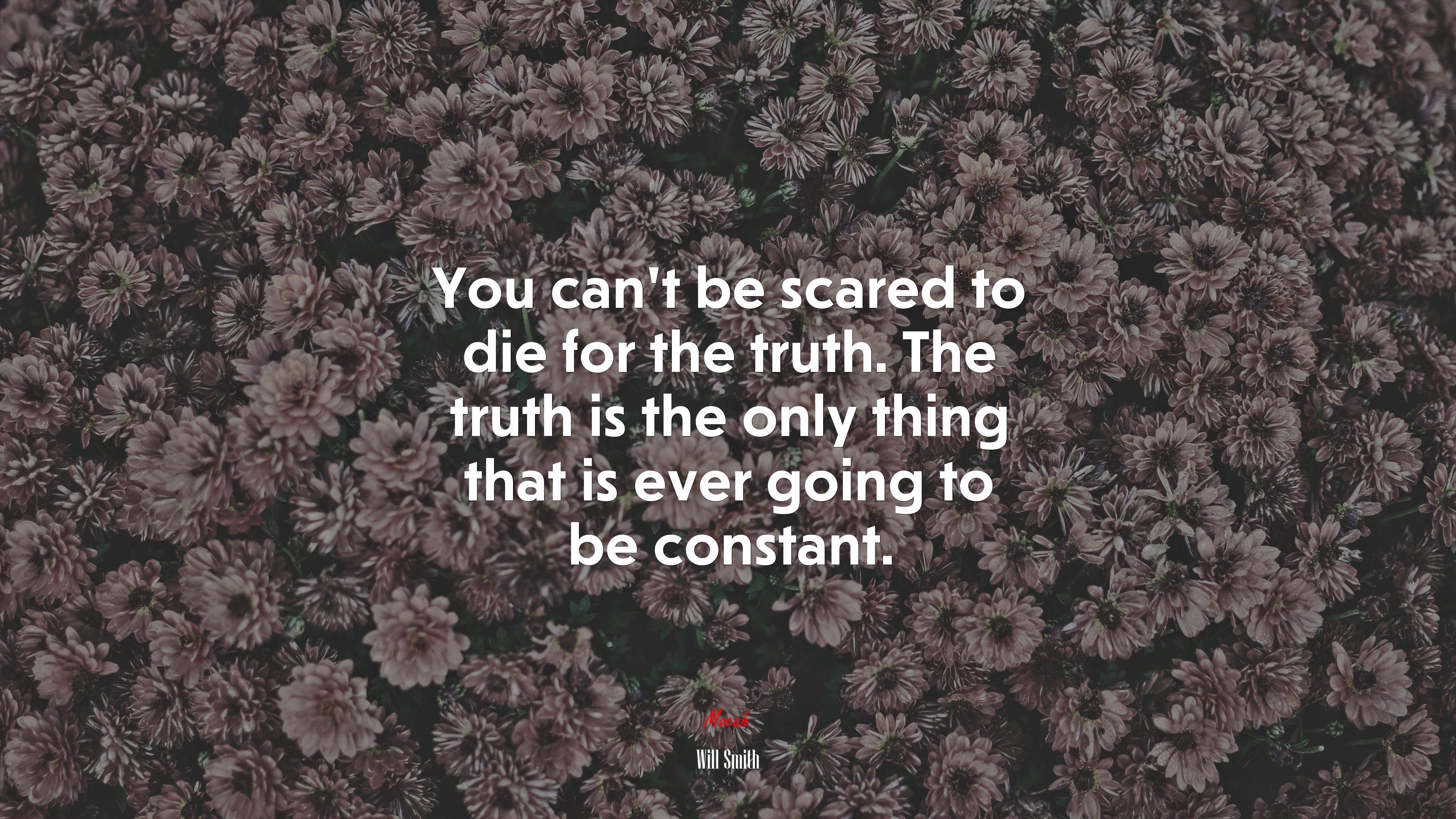 You can’t be scared to die for the truth. The truth is the only thing that is ever going to be constant. | Will Smith quote HD Wallpaper