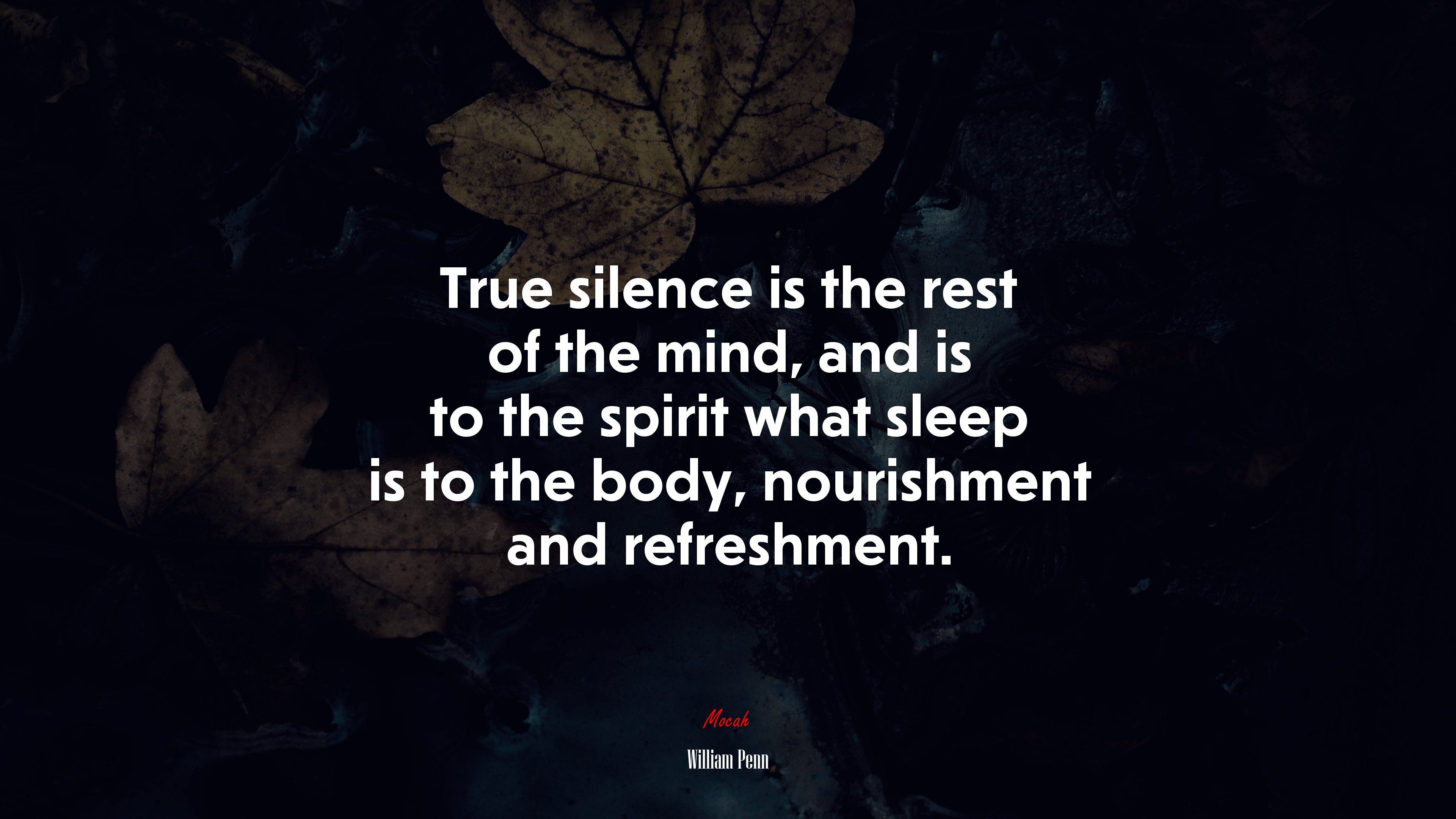 True silence is the rest of the mind, and is to the spirit what sleep is to the body, nourishment and refreshment. | William Penn quote HD Wallpaper