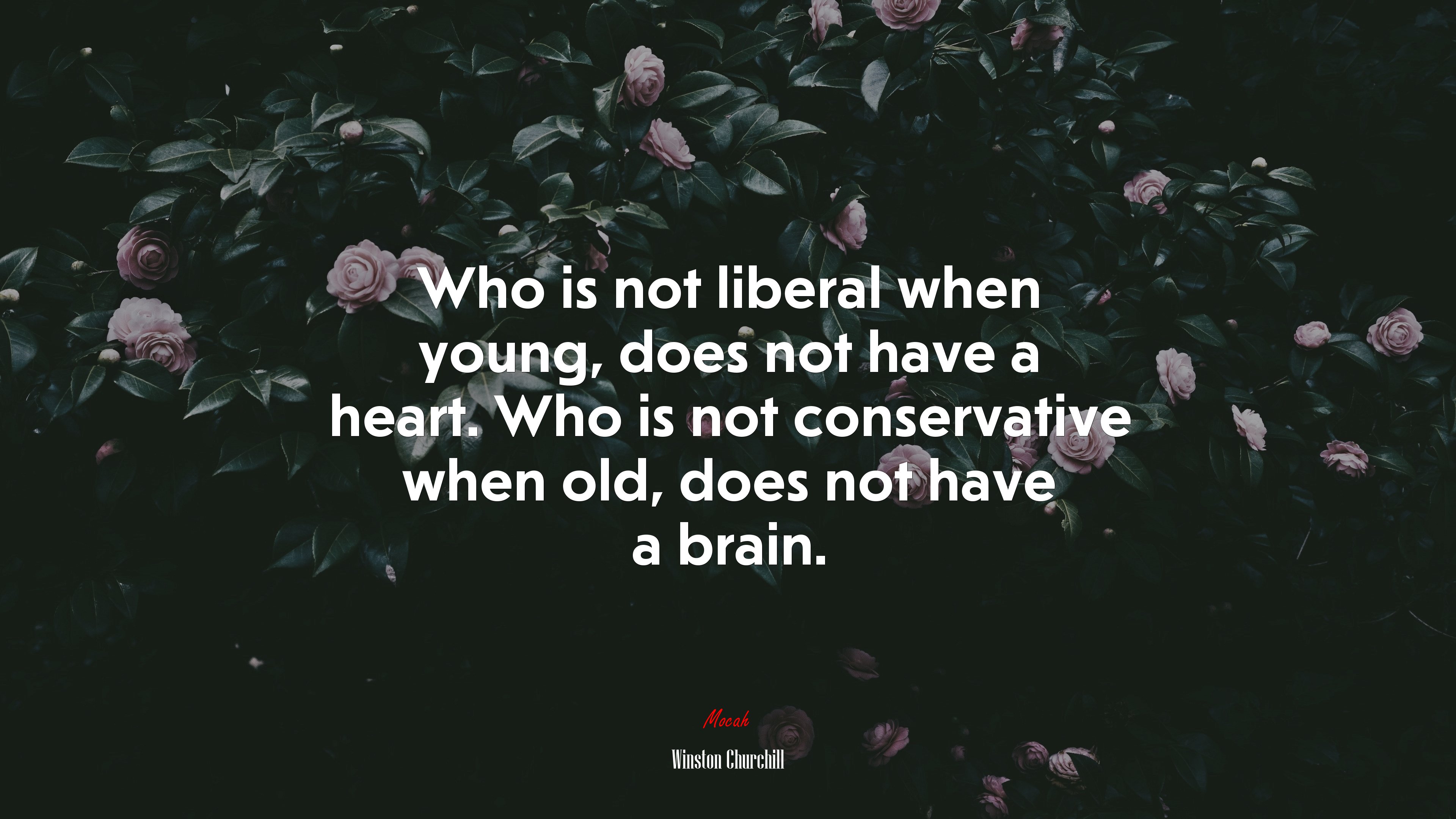Who is not liberal when young, does not have a heart. Who is not conservative when old, does not have a brain. | Winston Churchill quote HD Wallpaper