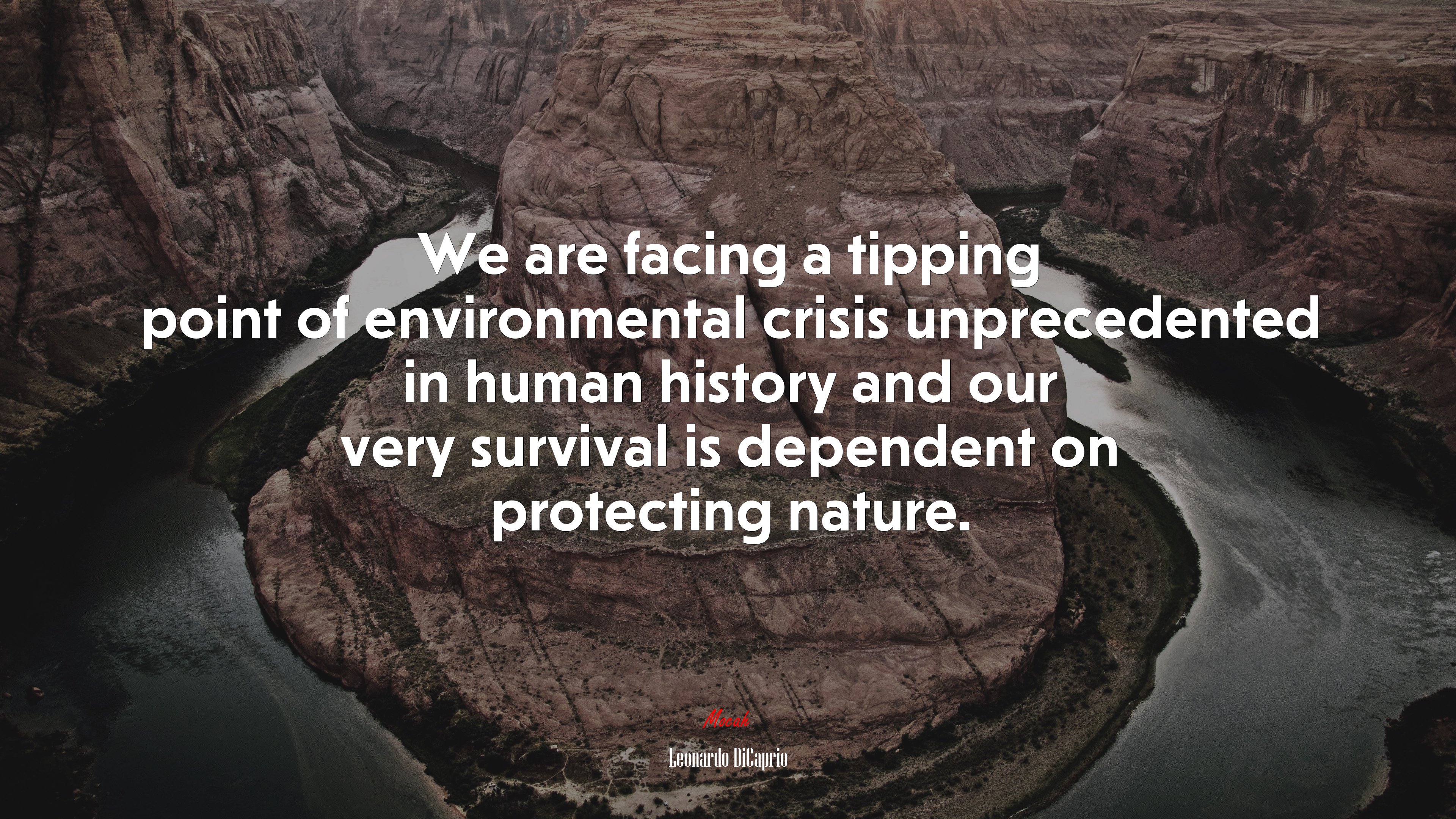 We are facing a tipping point of environmental crisis unprecedented in human history and our very survival is dependent on protecting nature. | Leonardo DiCaprio quote HD Wallpaper