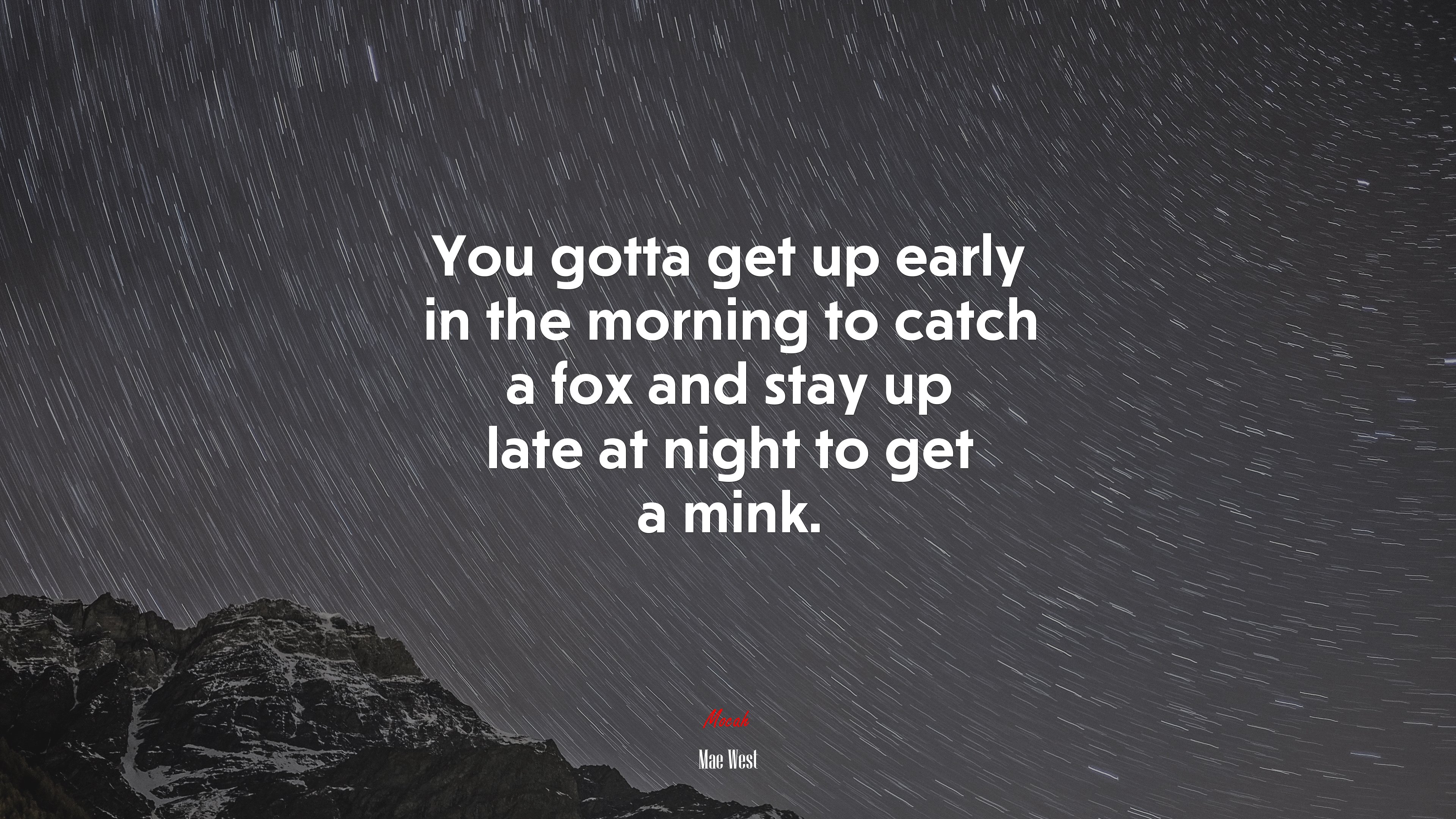 You gotta get up early in the morning to catch a fox and stay up late at night to get a mink. | Mae West quote HD Wallpaper