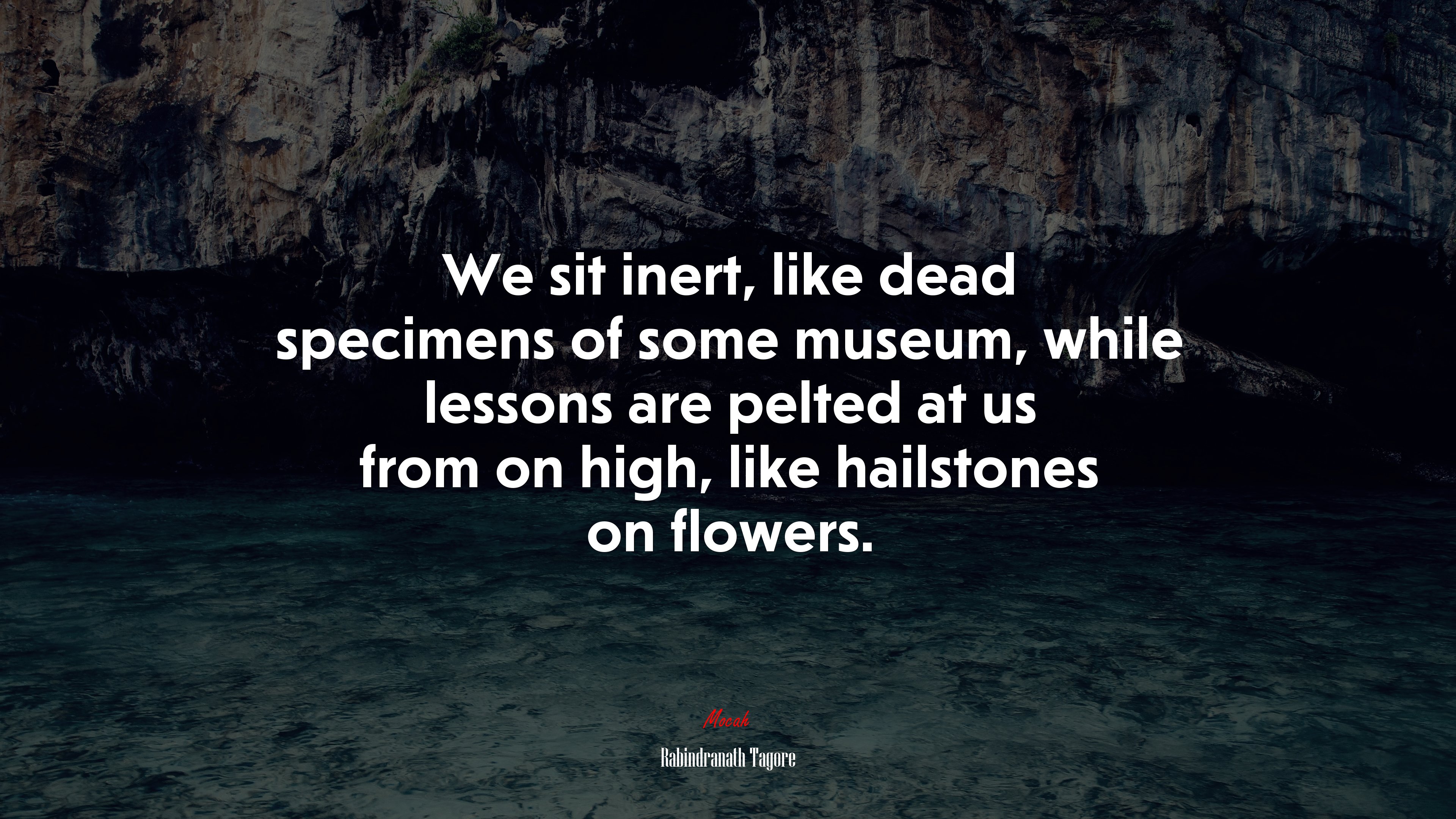 We sit inert, like dead specimens of some museum, while lessons are pelted at us from on high, like hailstones on flowers. | Rabindranath Tagore quote HD Wallpaper