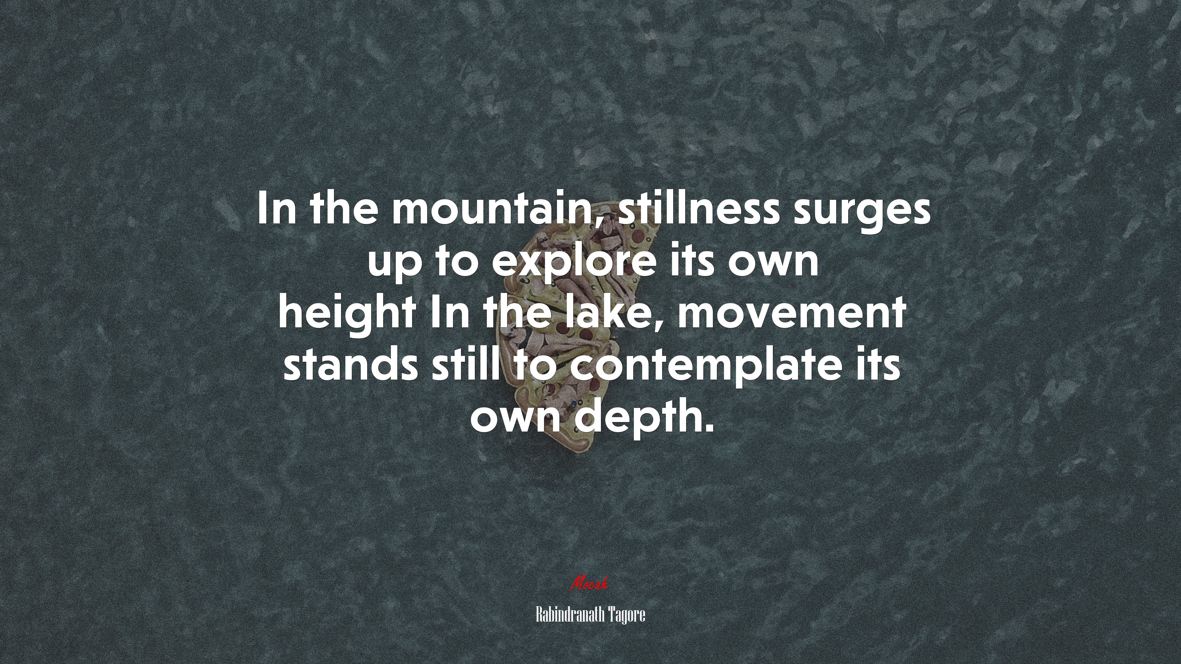 In the mountain, stillness surges up to explore its own height In the lake, movement stands still to contemplate its own depth. | Rabindranath Tagore quote HD Wallpaper