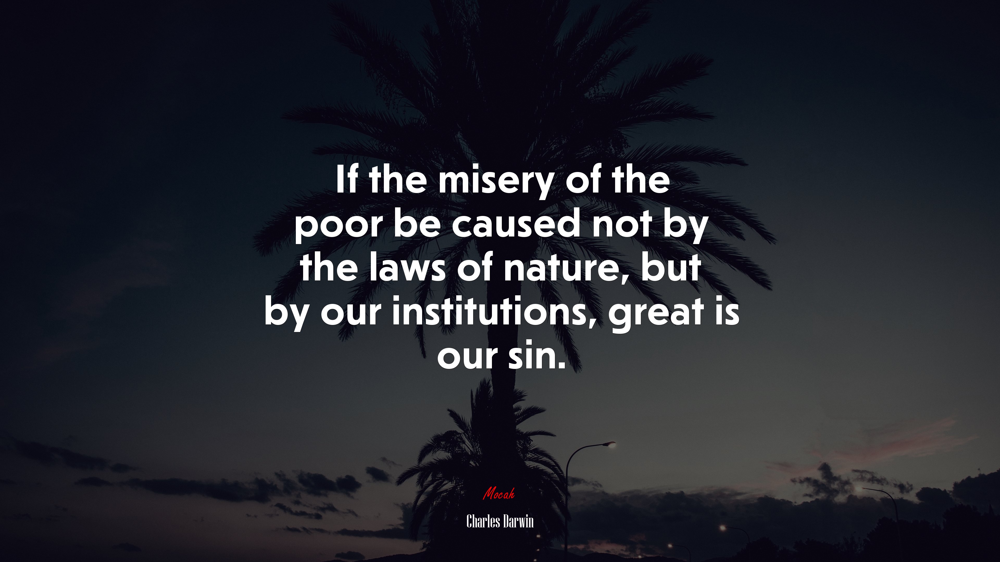 If the misery of the poor be caused not by the laws of nature, but by our institutions, great is our sin. | Charles Darwin quote HD Wallpaper