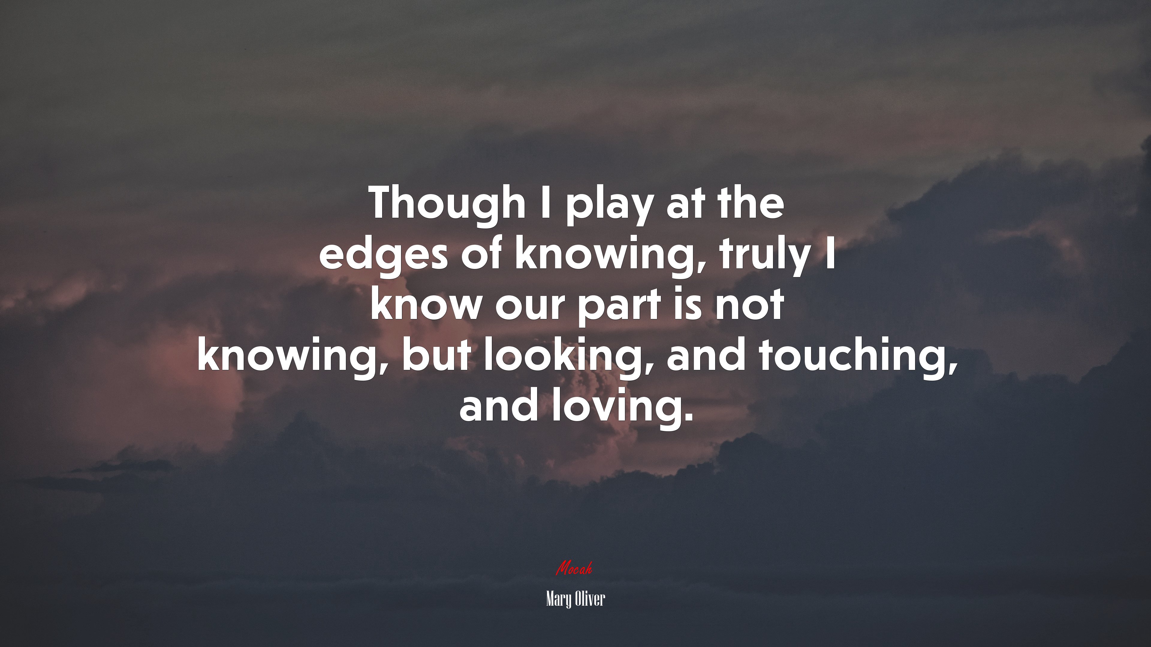 Though I play at the edges of knowing, truly I know our part is not knowing, but looking, and touching, and loving. | Mary Oliver quote HD Wallpaper