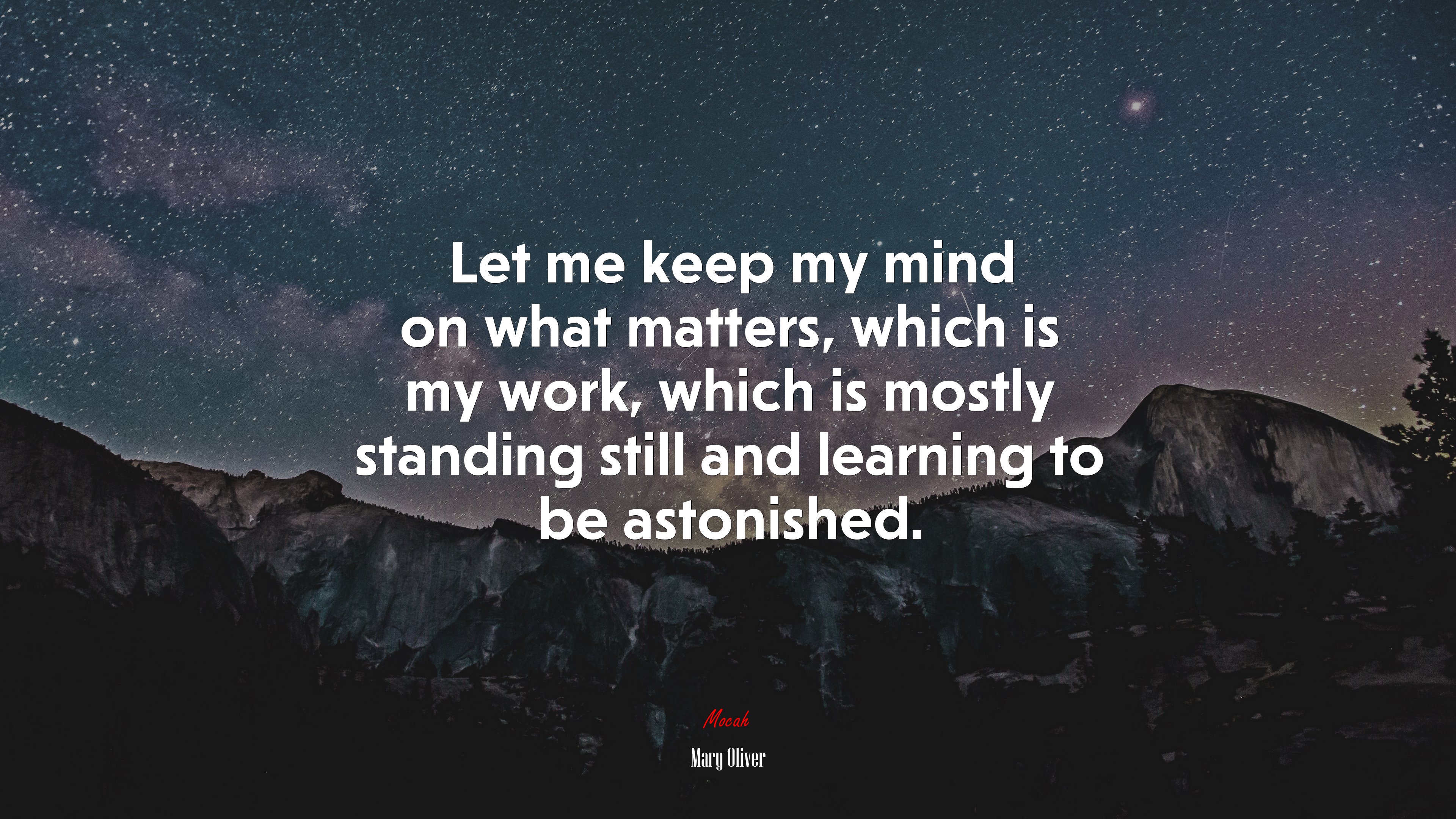 Let me keep my mind on what matters, which is my work, which is mostly standing still and learning to be astonished. | Mary Oliver quote HD Wallpaper