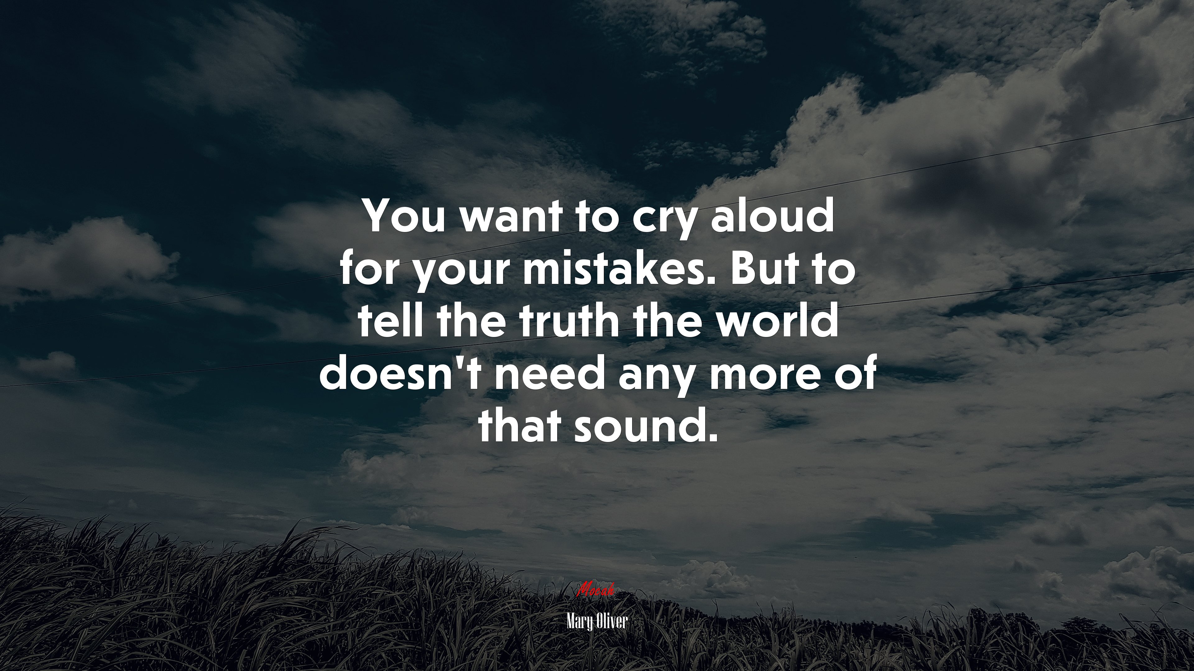 You want to cry aloud for your mistakes. But to tell the truth the world doesn’t need any more of that sound. | Mary Oliver quote HD Wallpaper