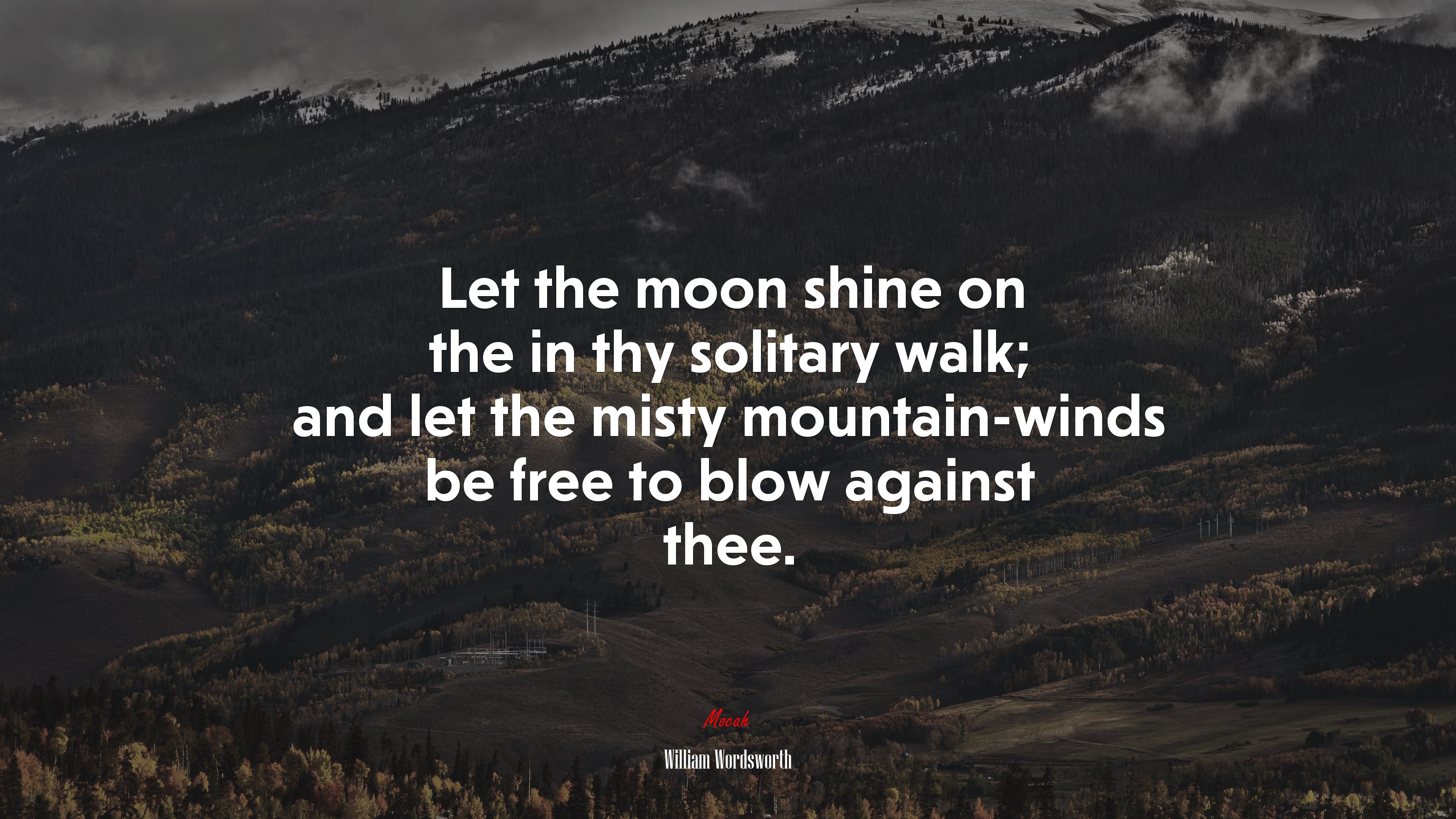 Let the moon shine on the in thy solitary walk; and let the misty mountain-winds be free to blow against thee. | William Wordsworth quote HD Wallpaper