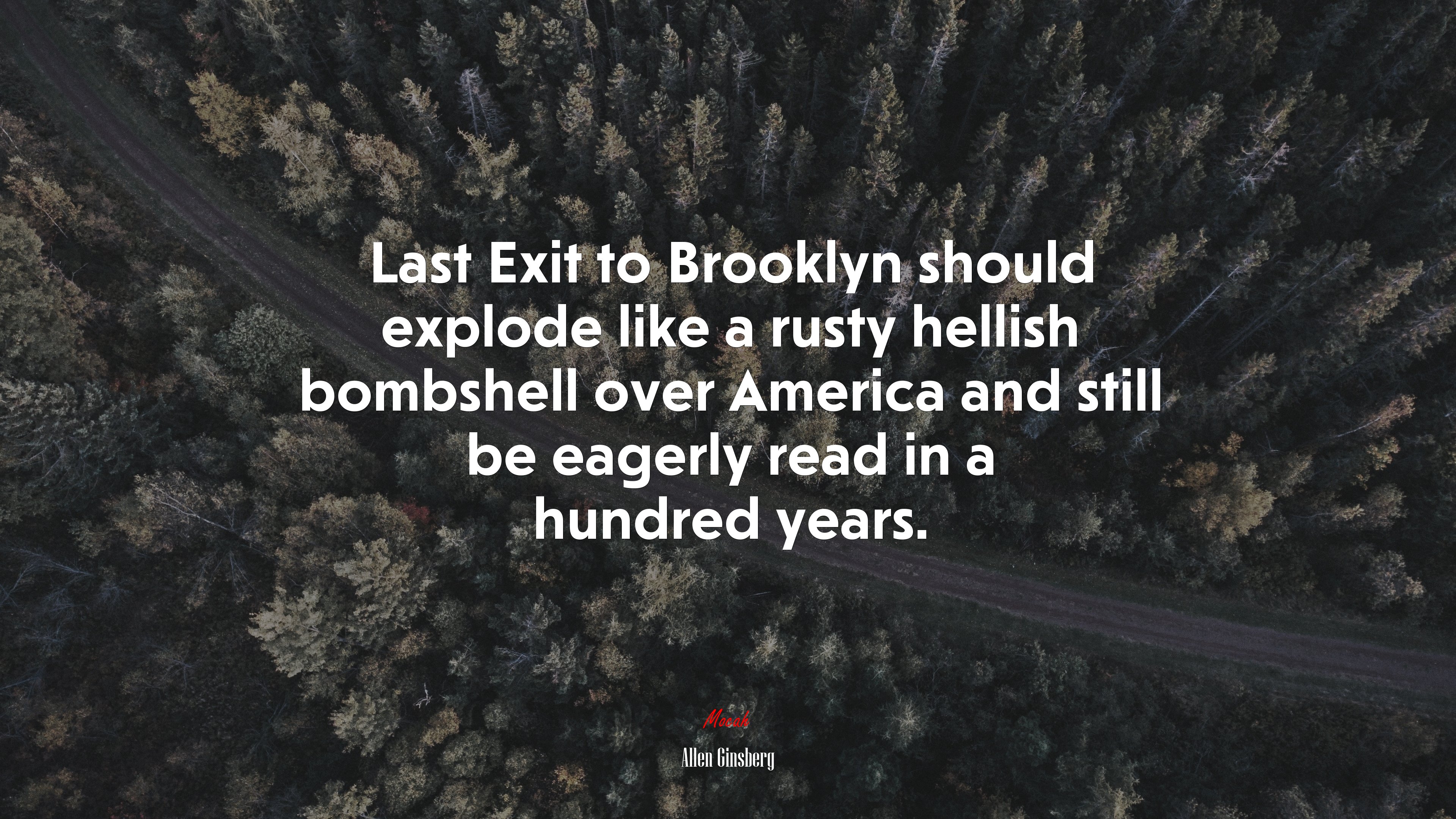 Last Exit to Brooklyn should explode like a rusty hellish bombshell over America and still be eagerly read in a hundred years. | Allen Ginsberg quote HD Wallpaper