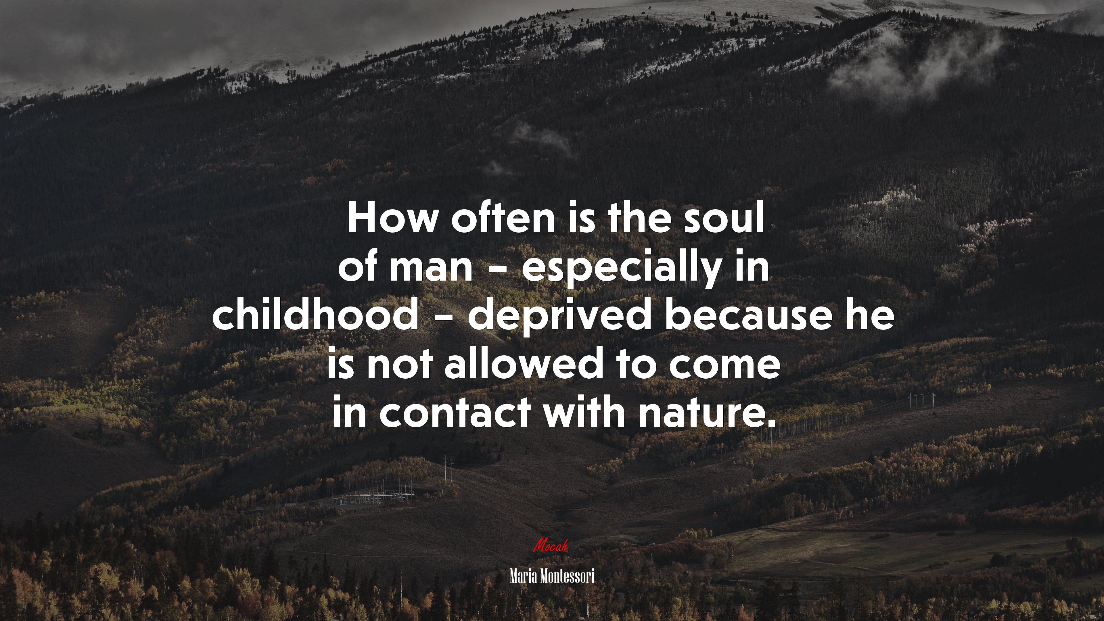 How often is the soul of man – especially in childhood – deprived because he is not allowed to come in contact with nature. | Maria Montessori quote HD Wallpaper