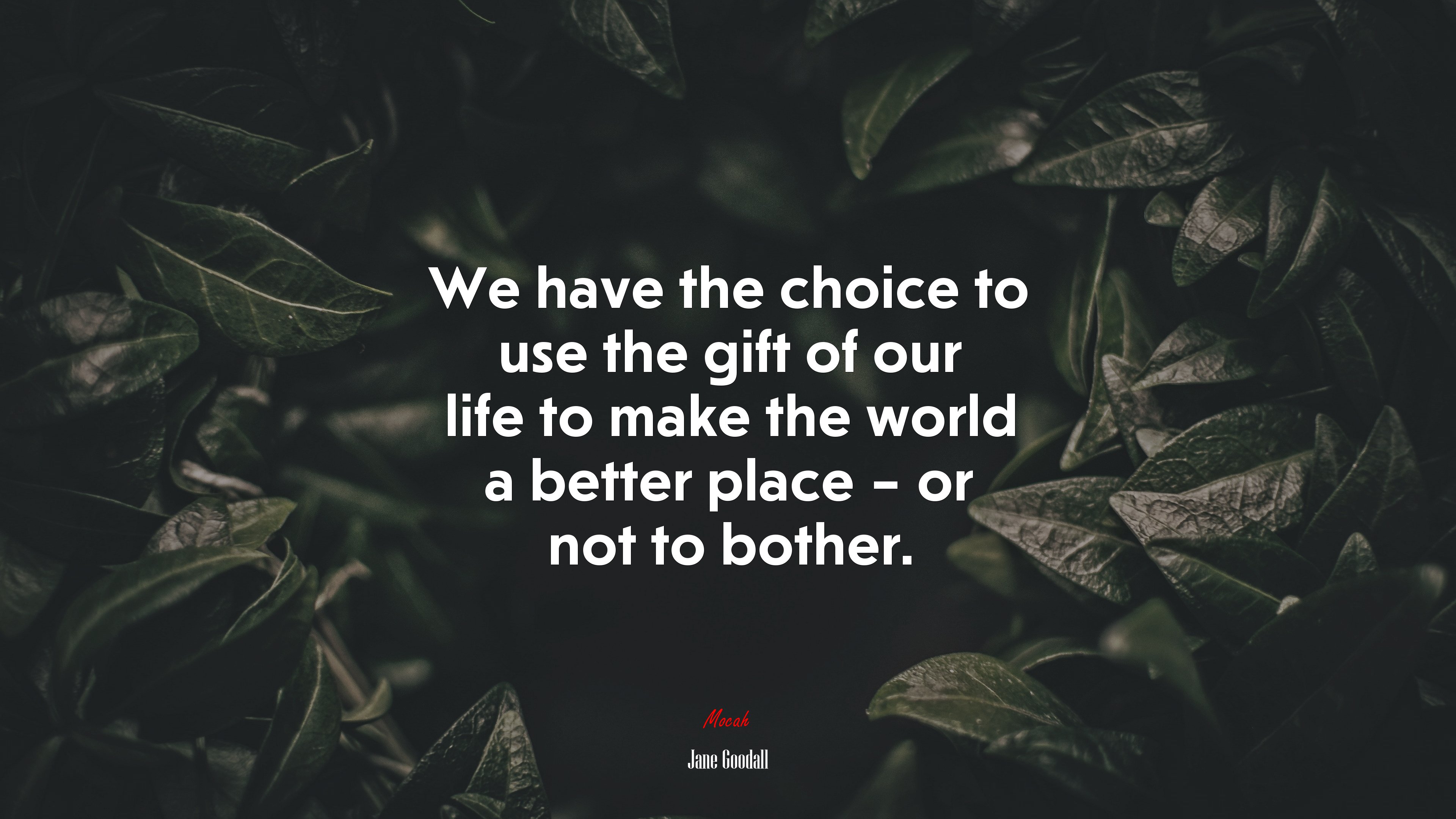 We have the choice to use the gift of our life to make the world a better place – or not to bother. | Jane Goodall quote HD Wallpaper