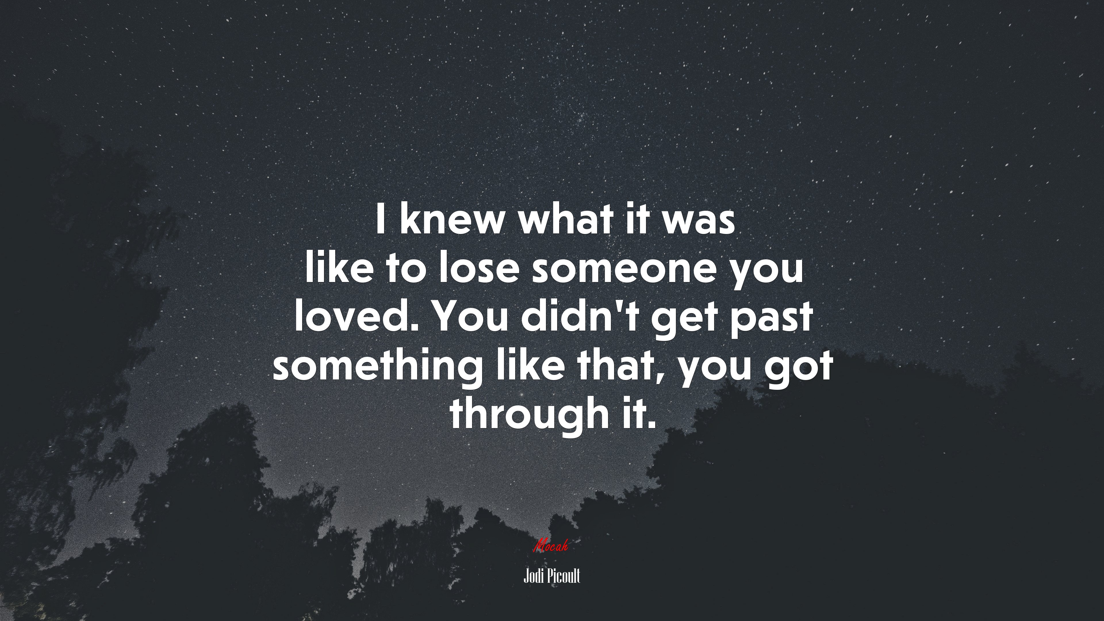 I knew what it was like to lose someone you loved. You didn’t get past something like that, you got through it. | Jodi Picoult quote HD Wallpaper