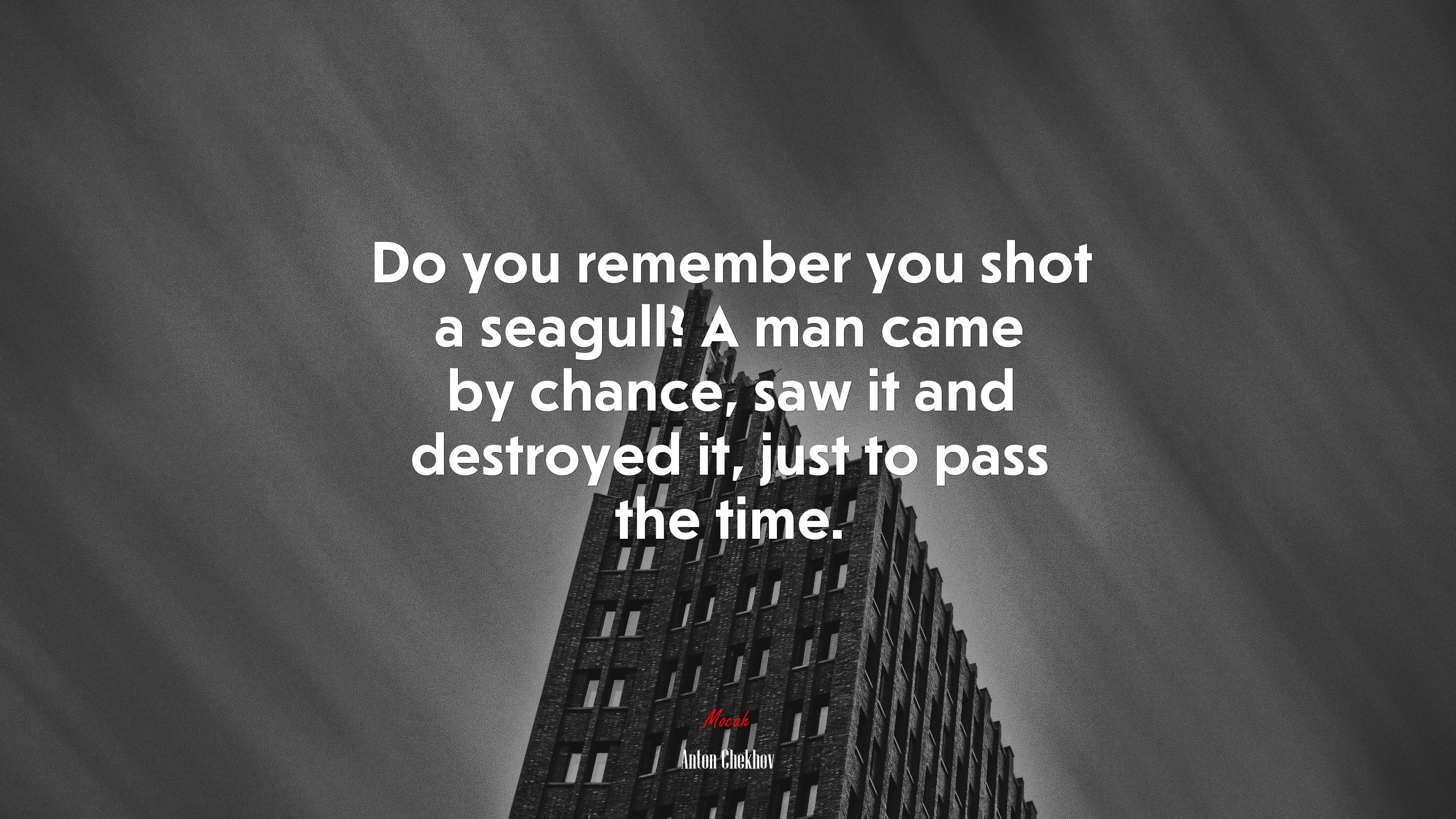 Do you remember you shot a seagull? A man came by chance, saw it and destroyed it, just to pass the time. | Anton Chekhov quote HD Wallpaper