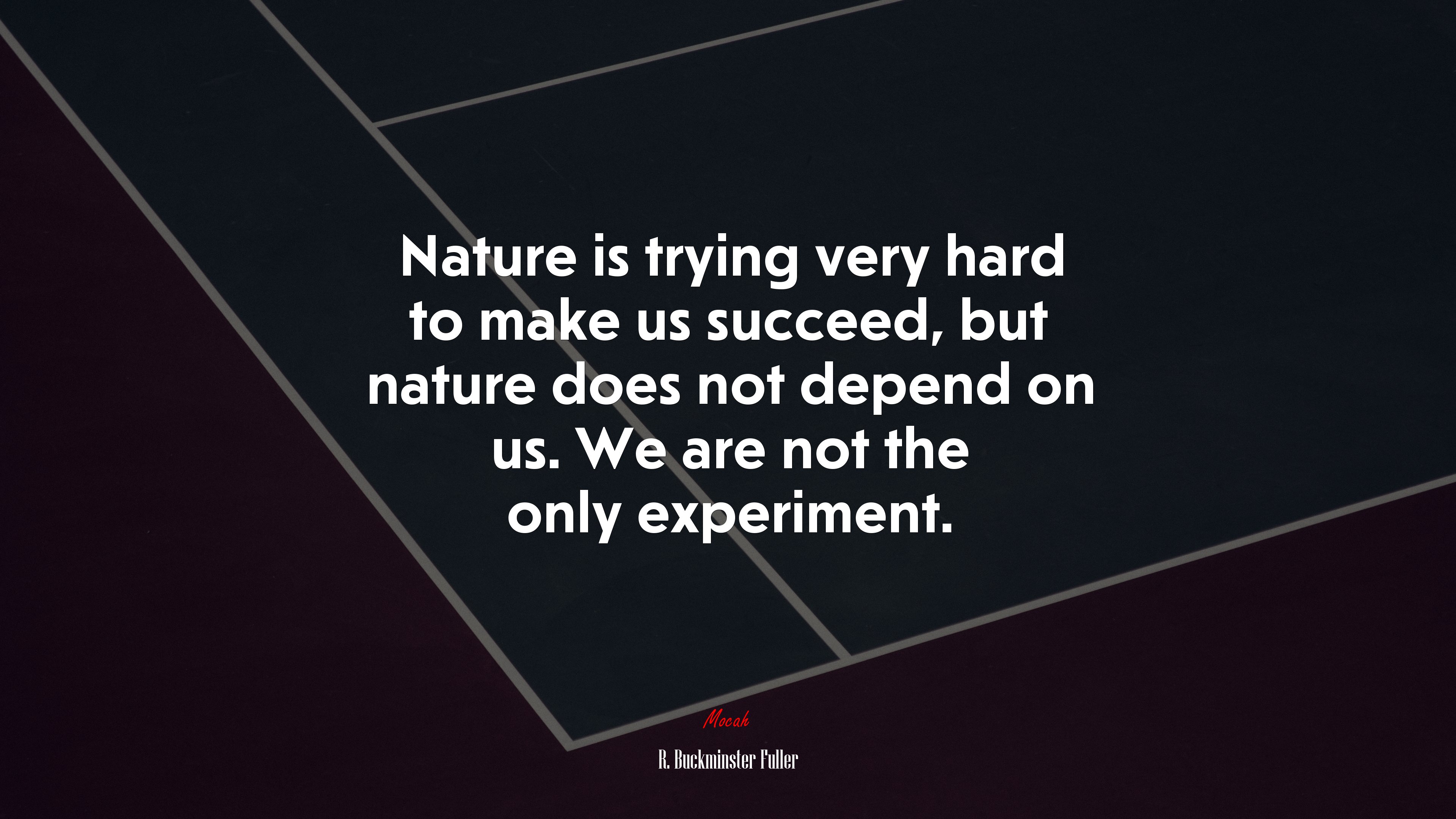 Nature is trying very hard to make us succeed, but nature does not depend on us. We are not the only experiment. | R. Buckminster Fuller quote HD Wallpaper