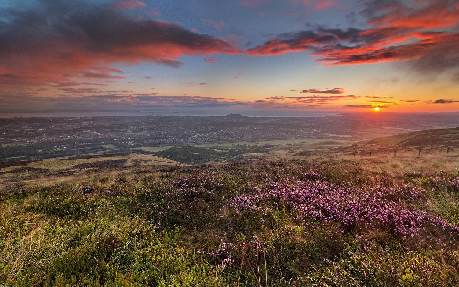 Sunrise over a valley with purple heather in the foreground HD Wallpaper