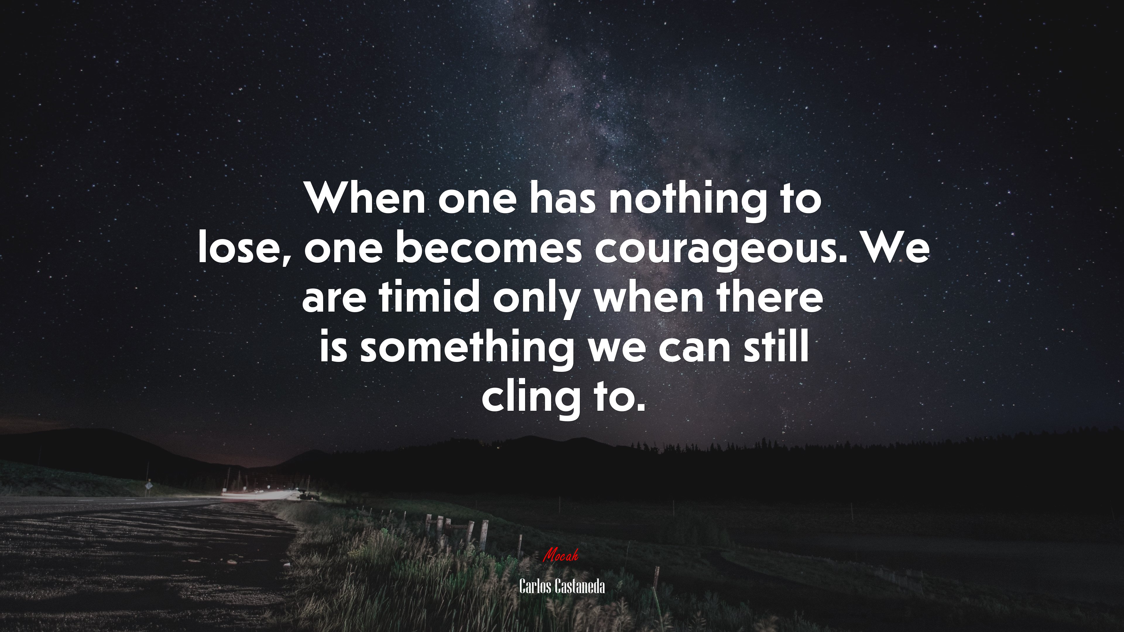 When one has nothing to lose, one becomes courageous. We are timid only when there is something we can still cling to. | Carlos Castaneda quote HD Wallpaper