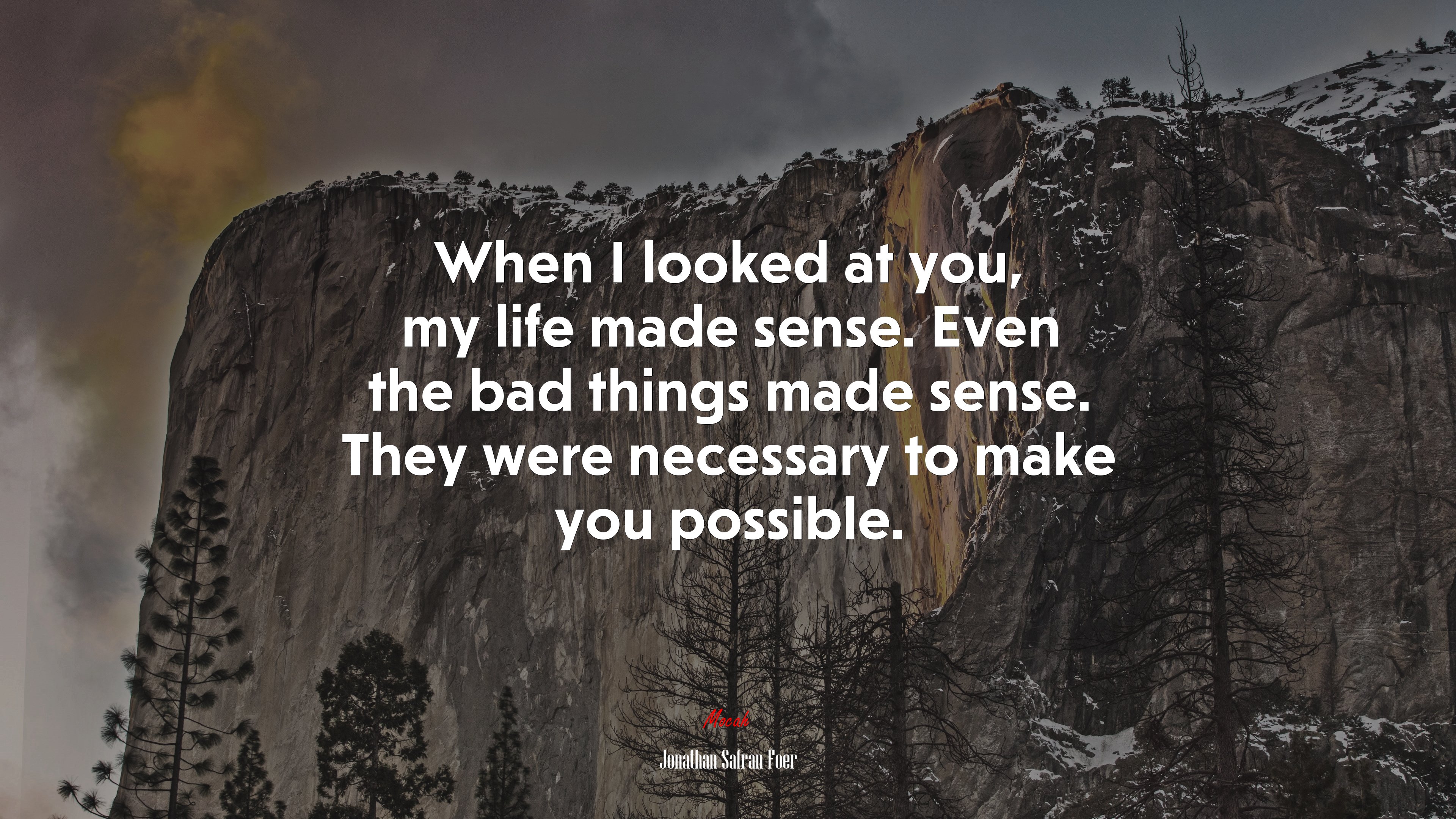 When I looked at you, my life made sense. Even the bad things made sense. They were necessary to make you possible. | Jonathan Safran Foer quote HD Wallpaper