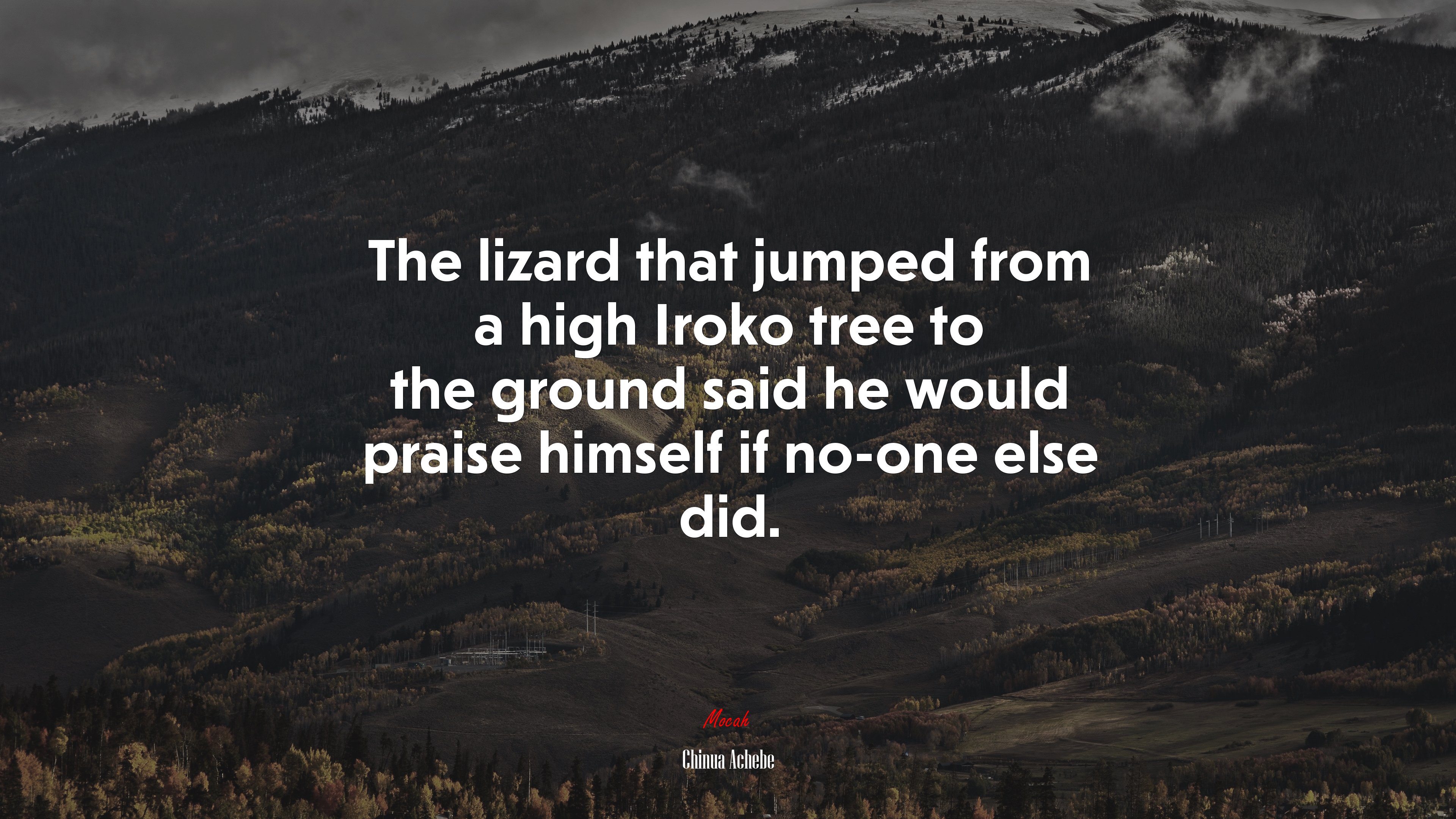The lizard that jumped from a high Iroko tree to the ground said he would praise himself if no-one else did. | Chinua Achebe quote HD Wallpaper