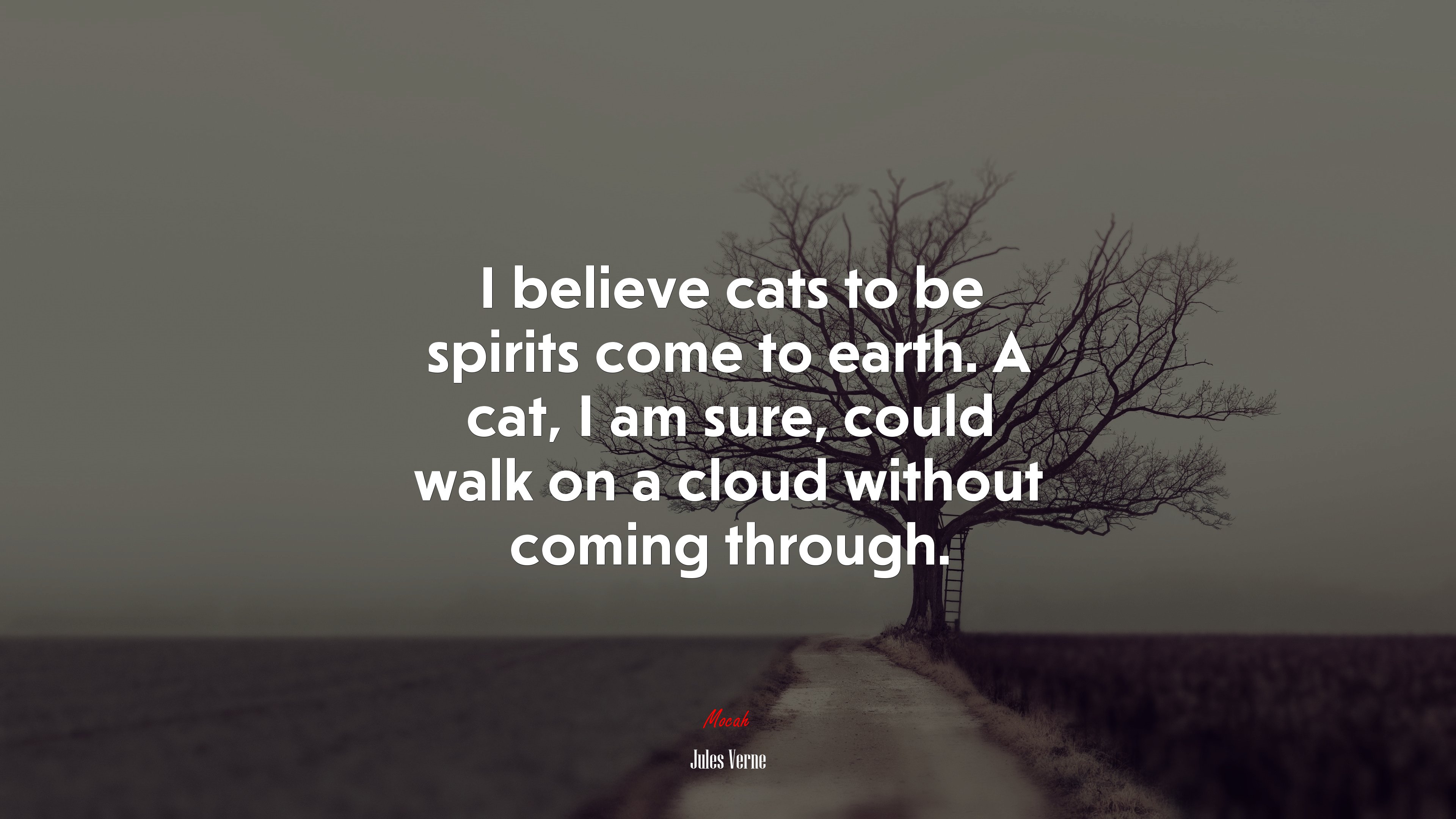 I believe cats to be spirits come to earth. A cat, I am sure, could walk on a cloud without coming through. | Jules Verne quote HD Wallpaper