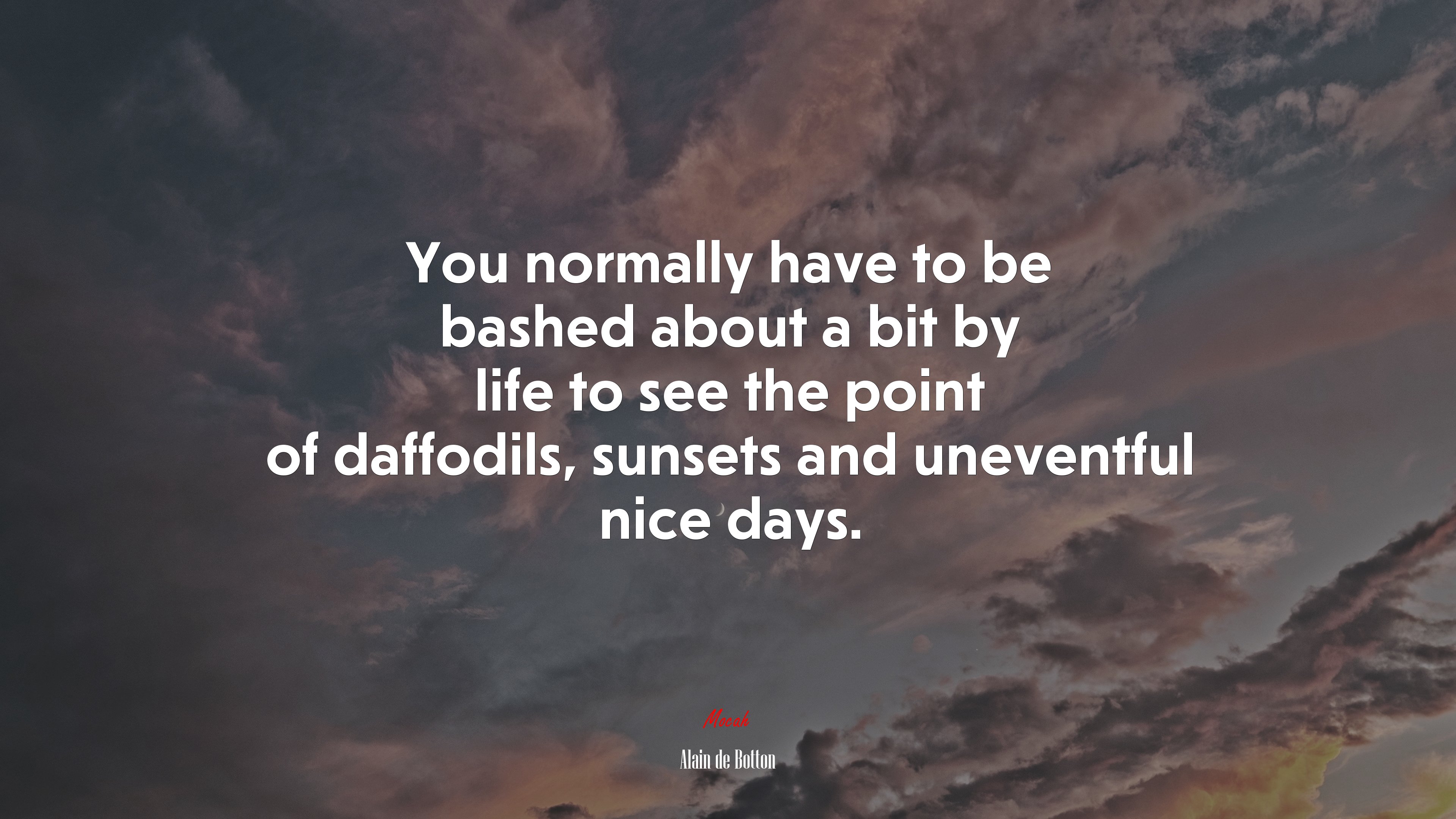 You normally have to be bashed about a bit by life to see the point of daffodils, sunsets and uneventful nice days. | Alain de Botton quote HD Wallpaper