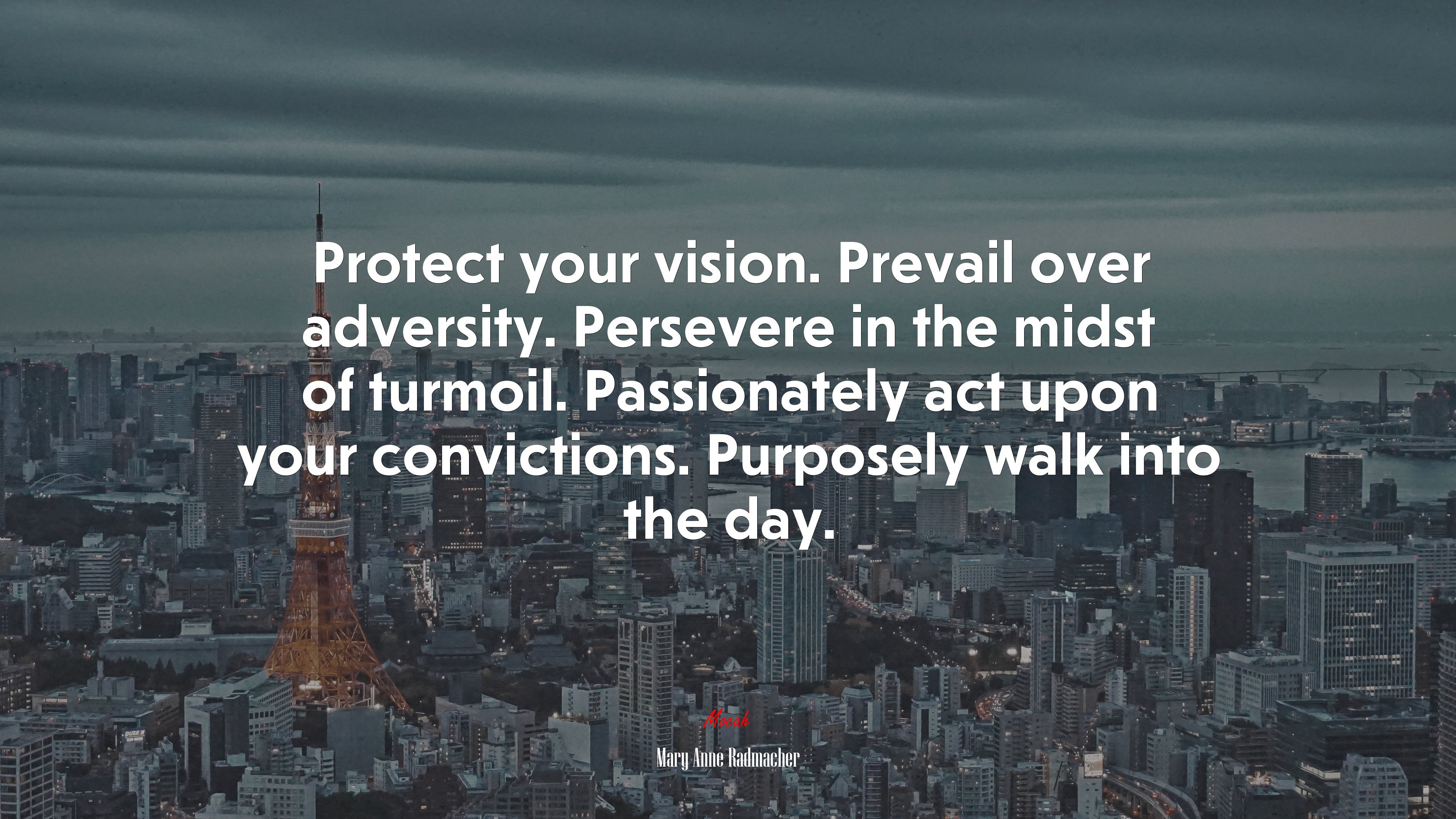 Protect your vision. Prevail over adversity. Persevere in the midst of turmoil. Passionately act upon your convictions. Purposely walk into the day. | Mary Anne Radmacher quote HD Wallpaper